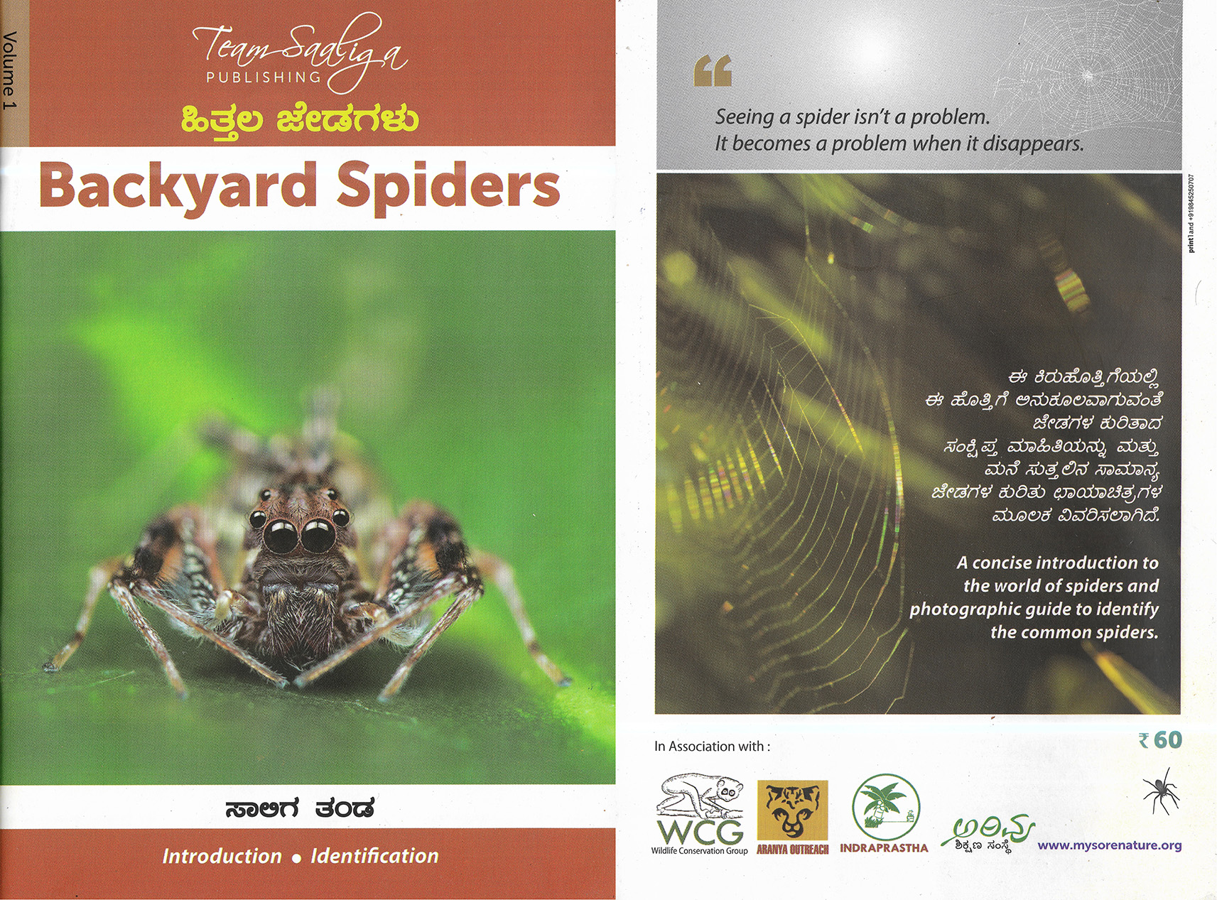 ಹಿತ್ತಲ ಜೇಡಗಳು 