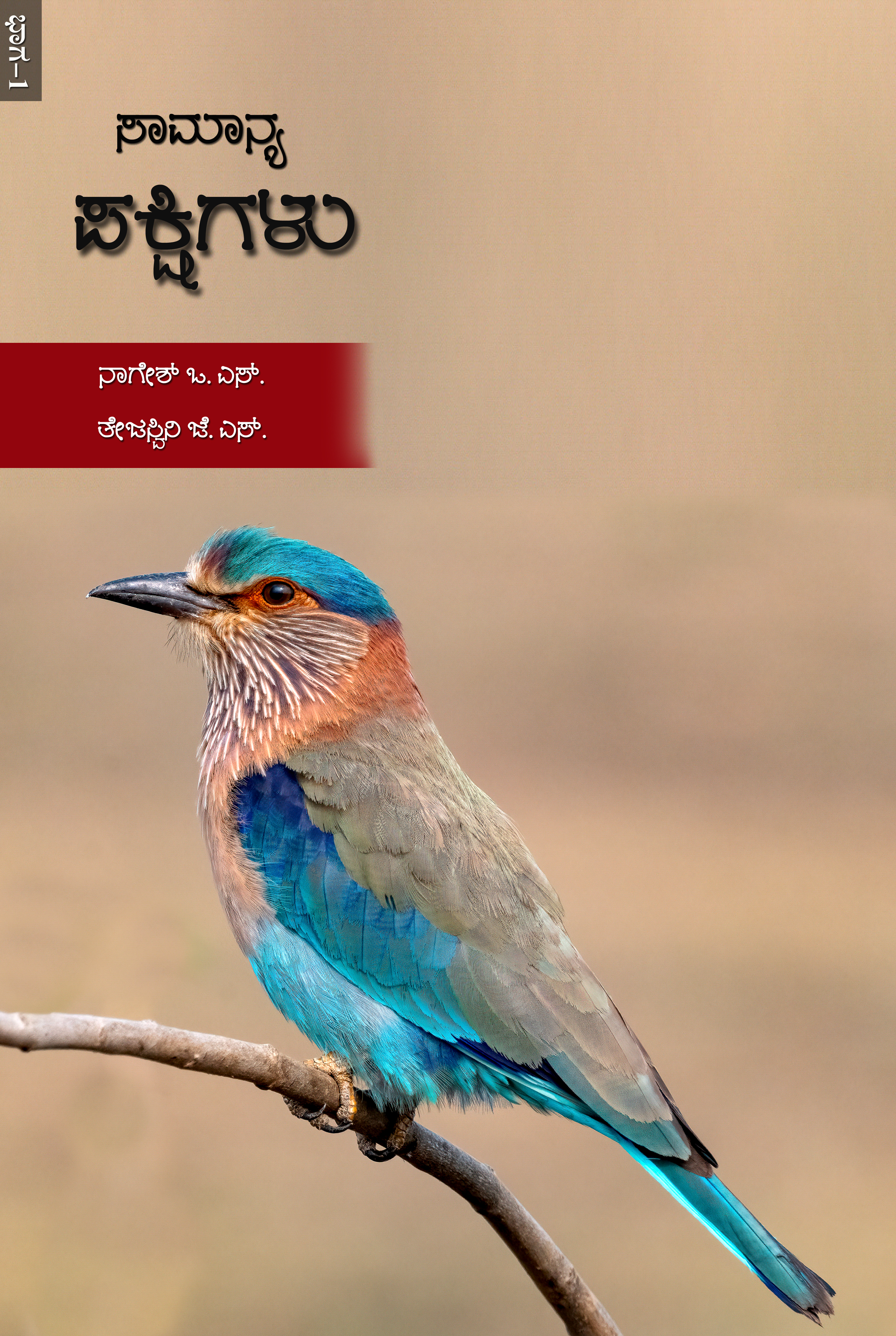 ಸಾಮಾನ್ಯ ಪಕ್ಷಿಗಳು ಭಾಗ -೧ 