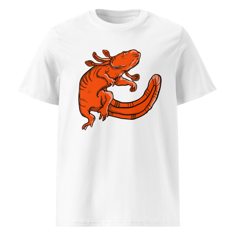Axolotl