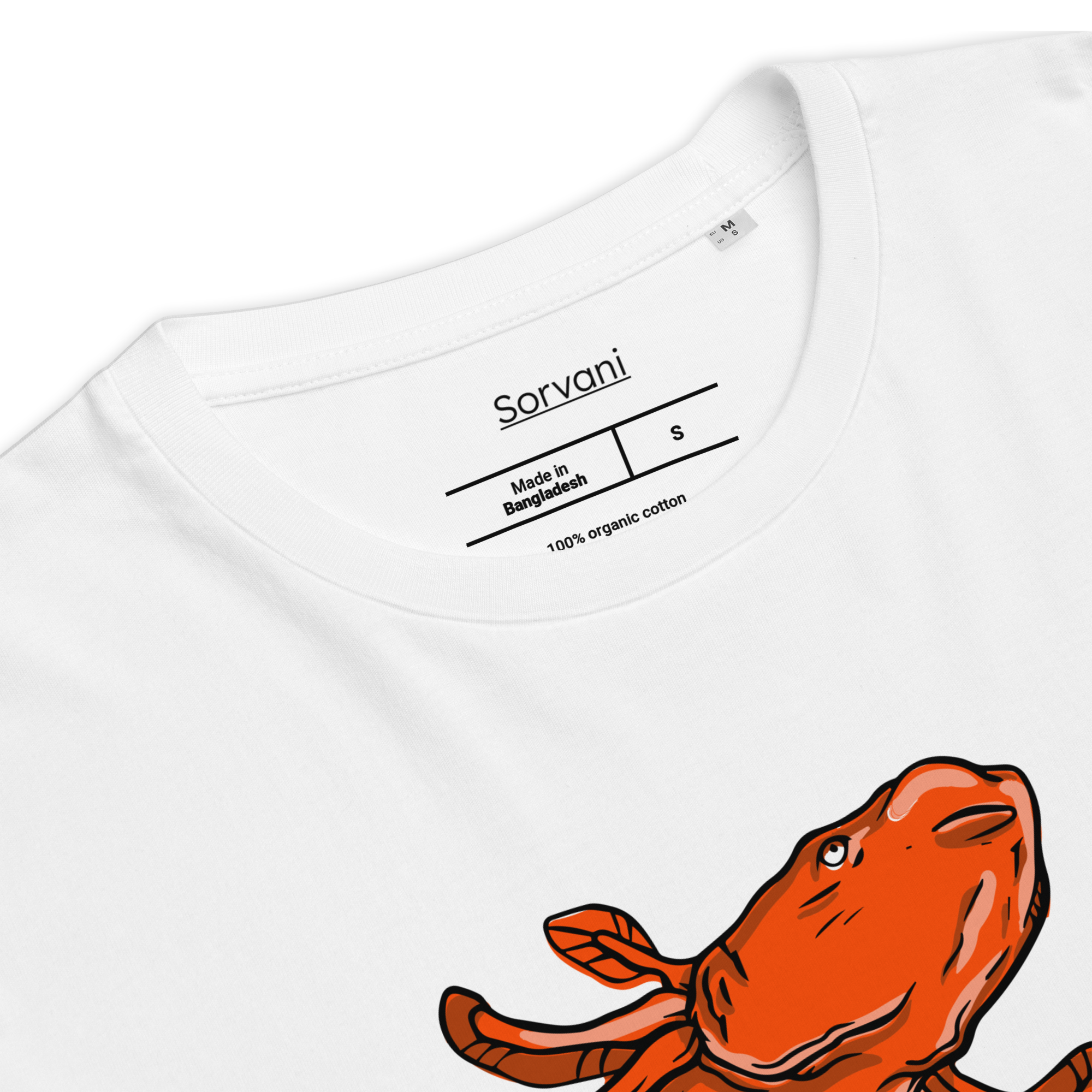 Axolotl