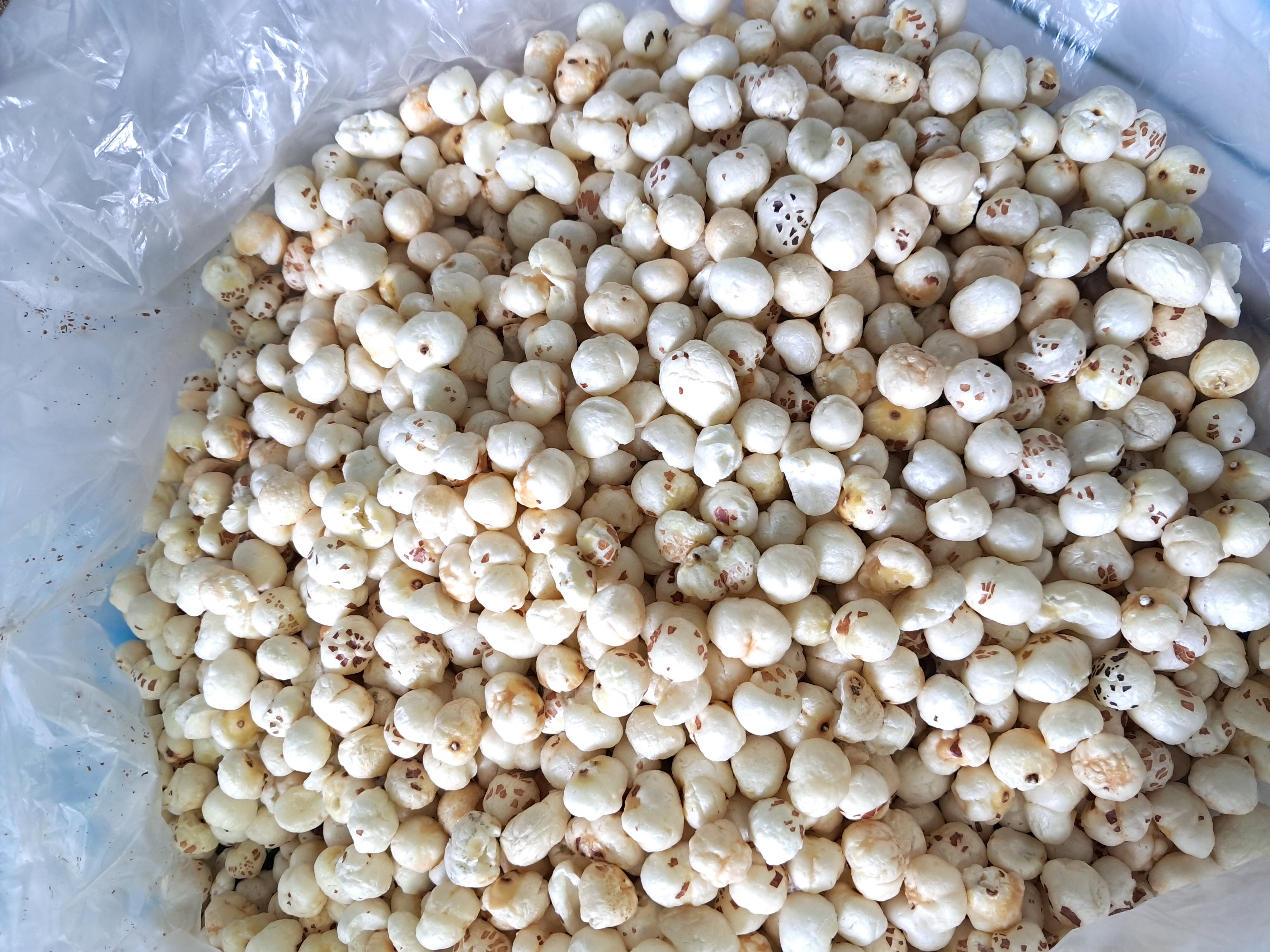 Raw Makhana (4 Suta)