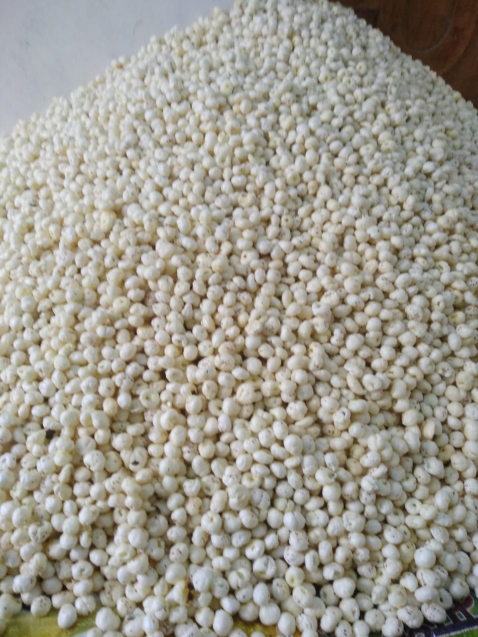 Raw Makhana (3 Suta)