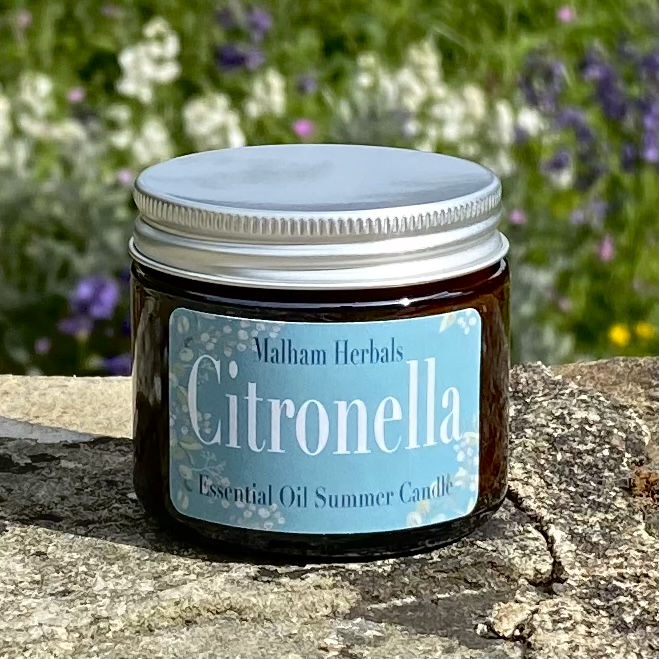 Citronella Summer Candle