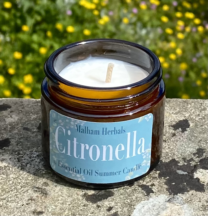 Citronella Summer Candle