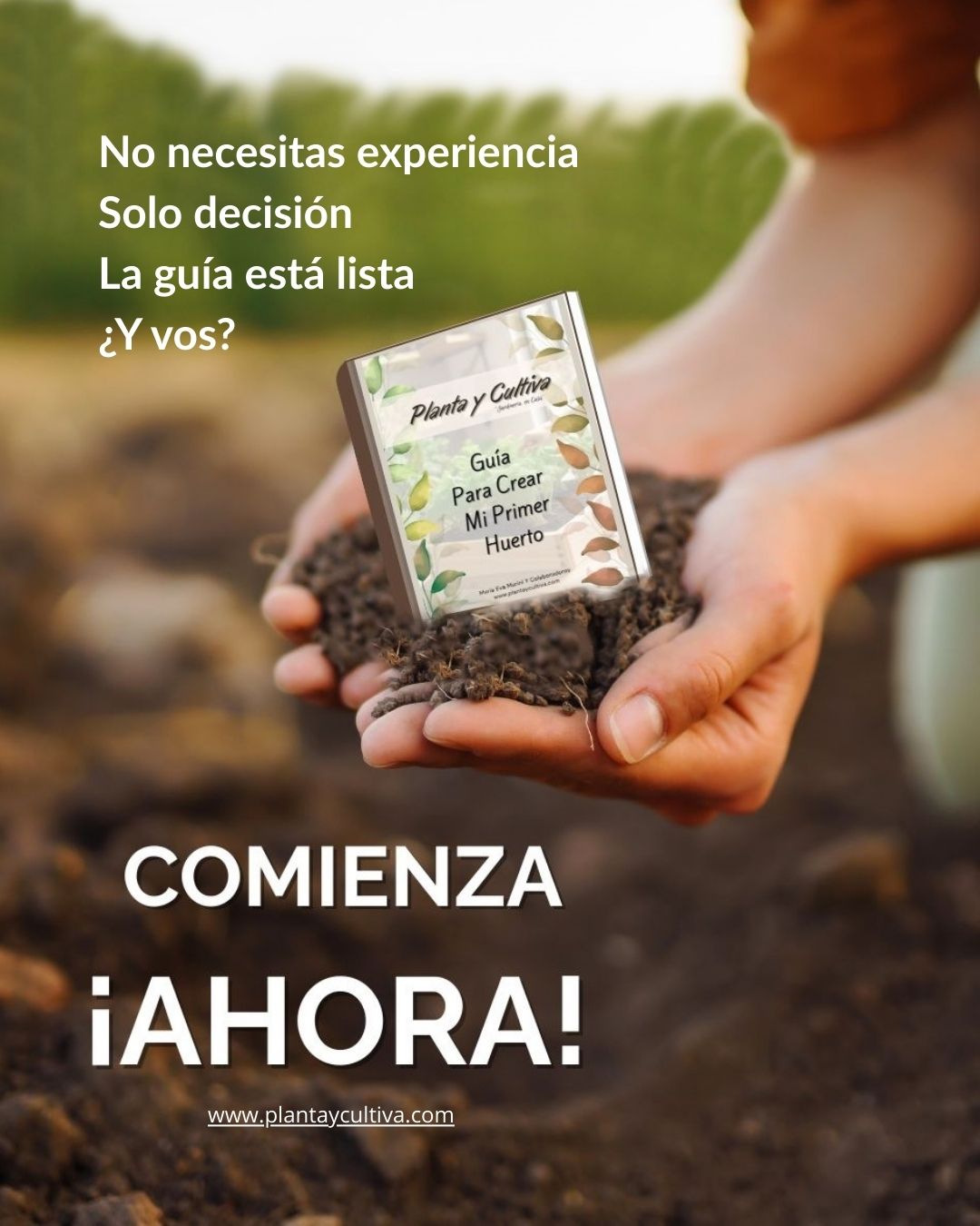 Guía Para Crear Mi Primer Huerto