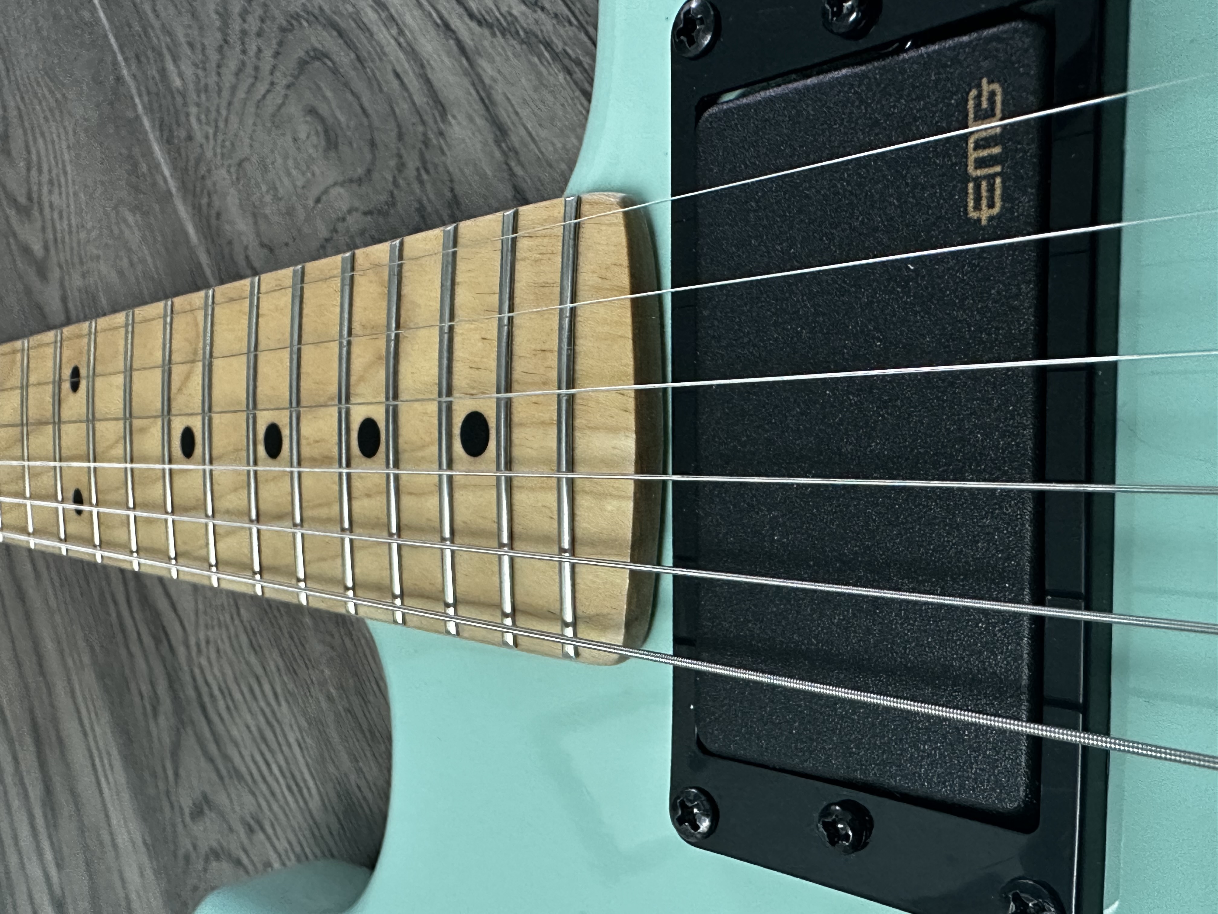 PG4 - Penguin Guitar Co.