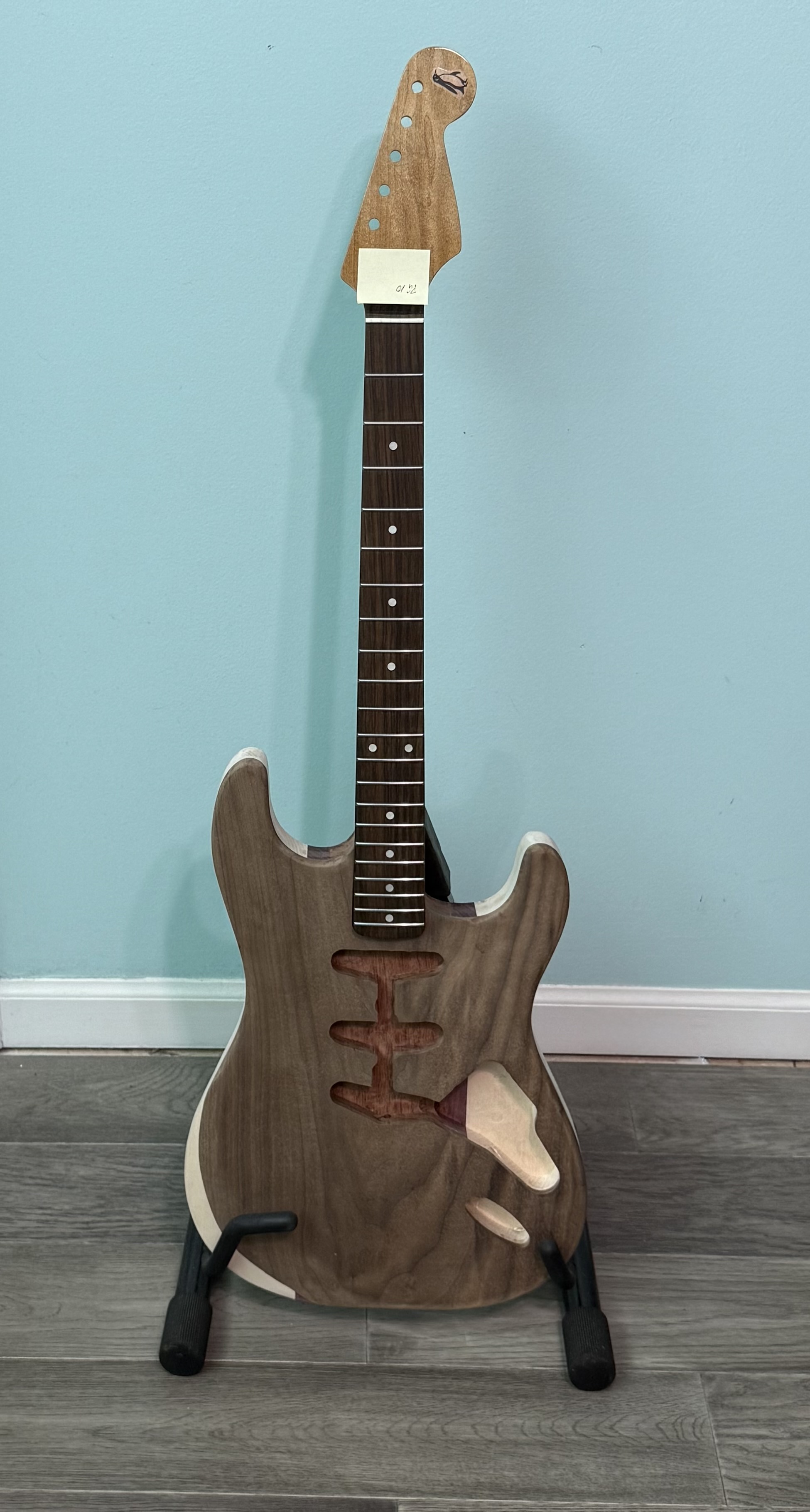 PG10 - Penguin Guitar Co. - Custom Strat