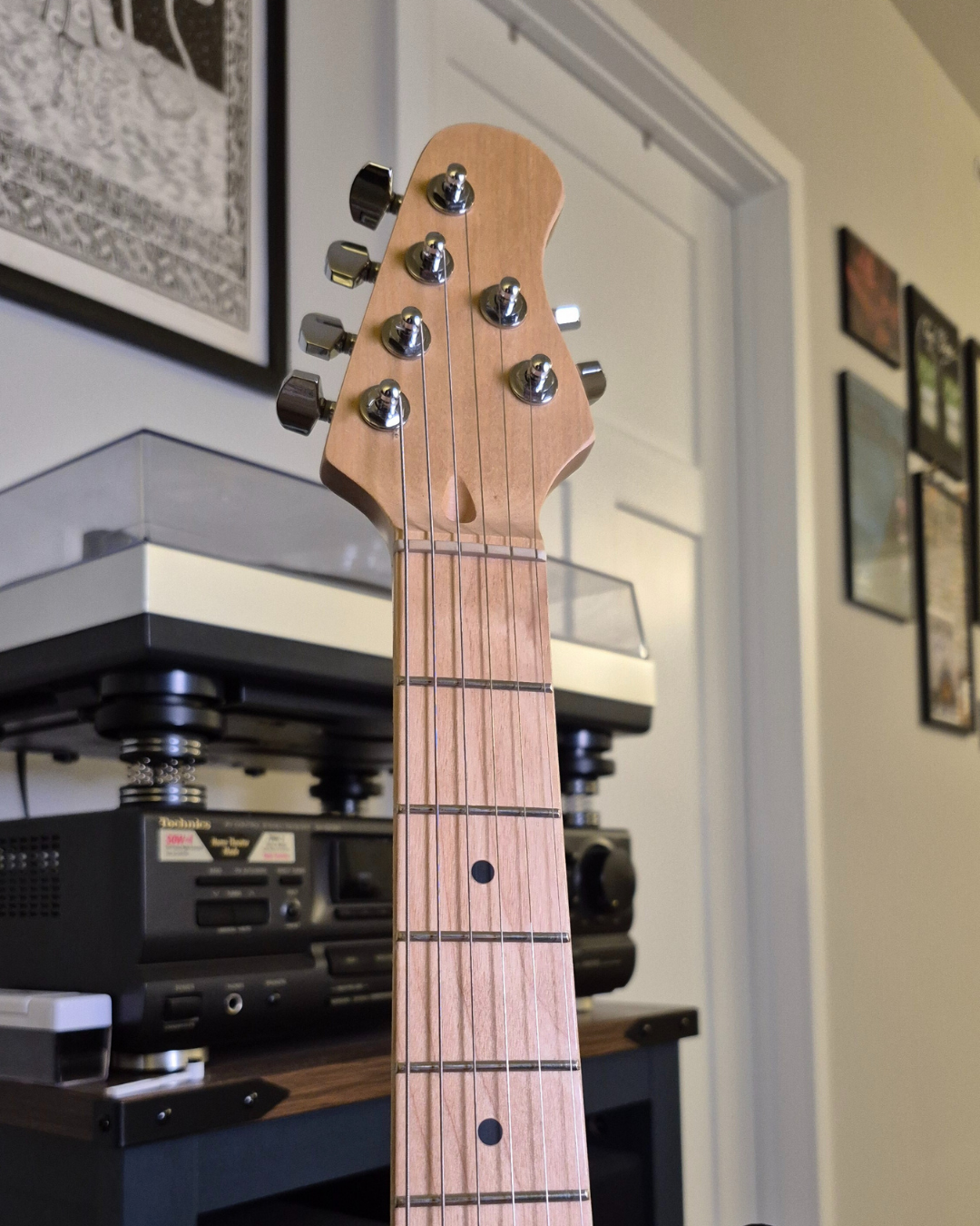 PG4 - Penguin Guitar Co. - "Angry Surfer"