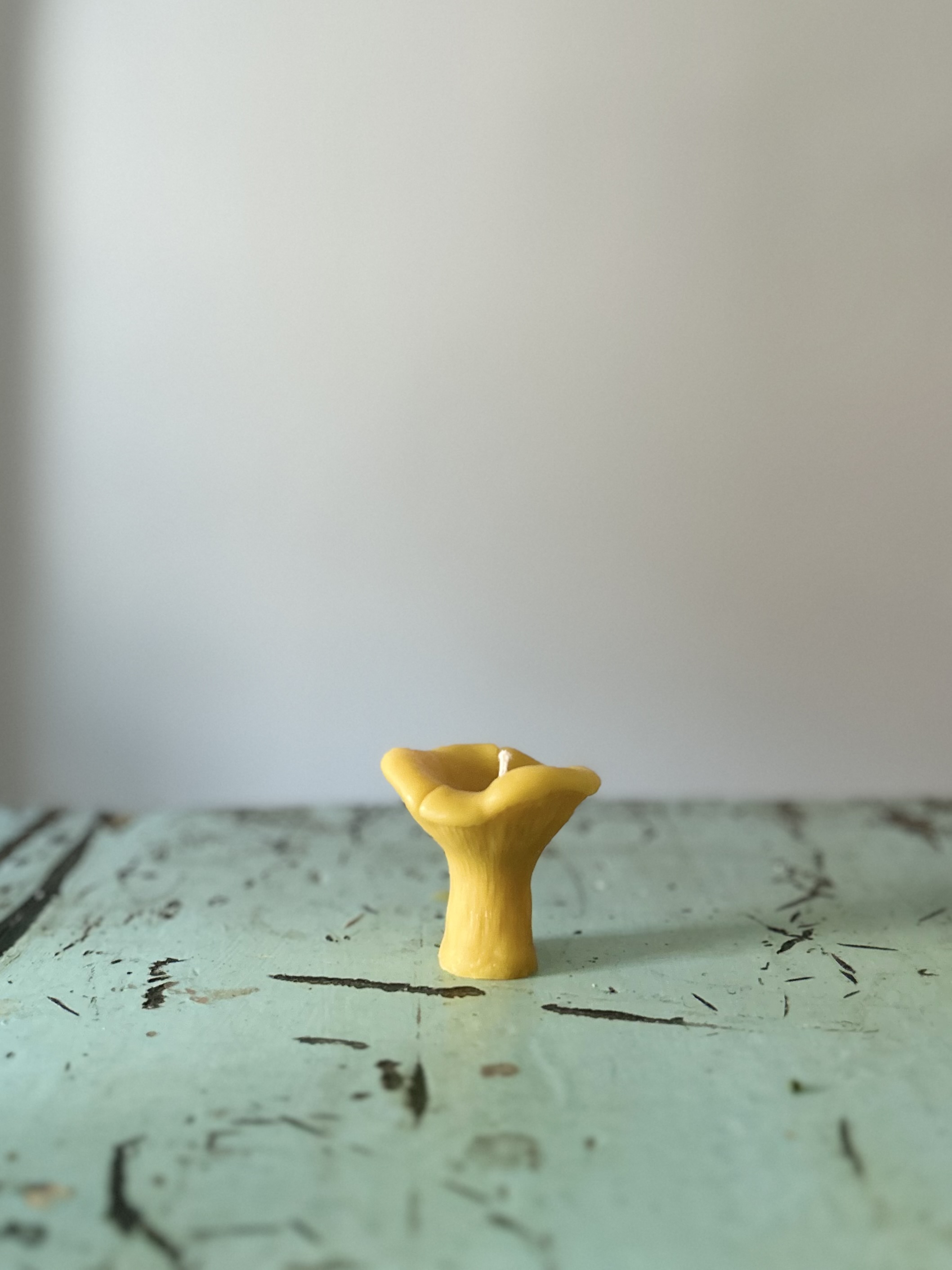 Chanterelle Mushroom Candle