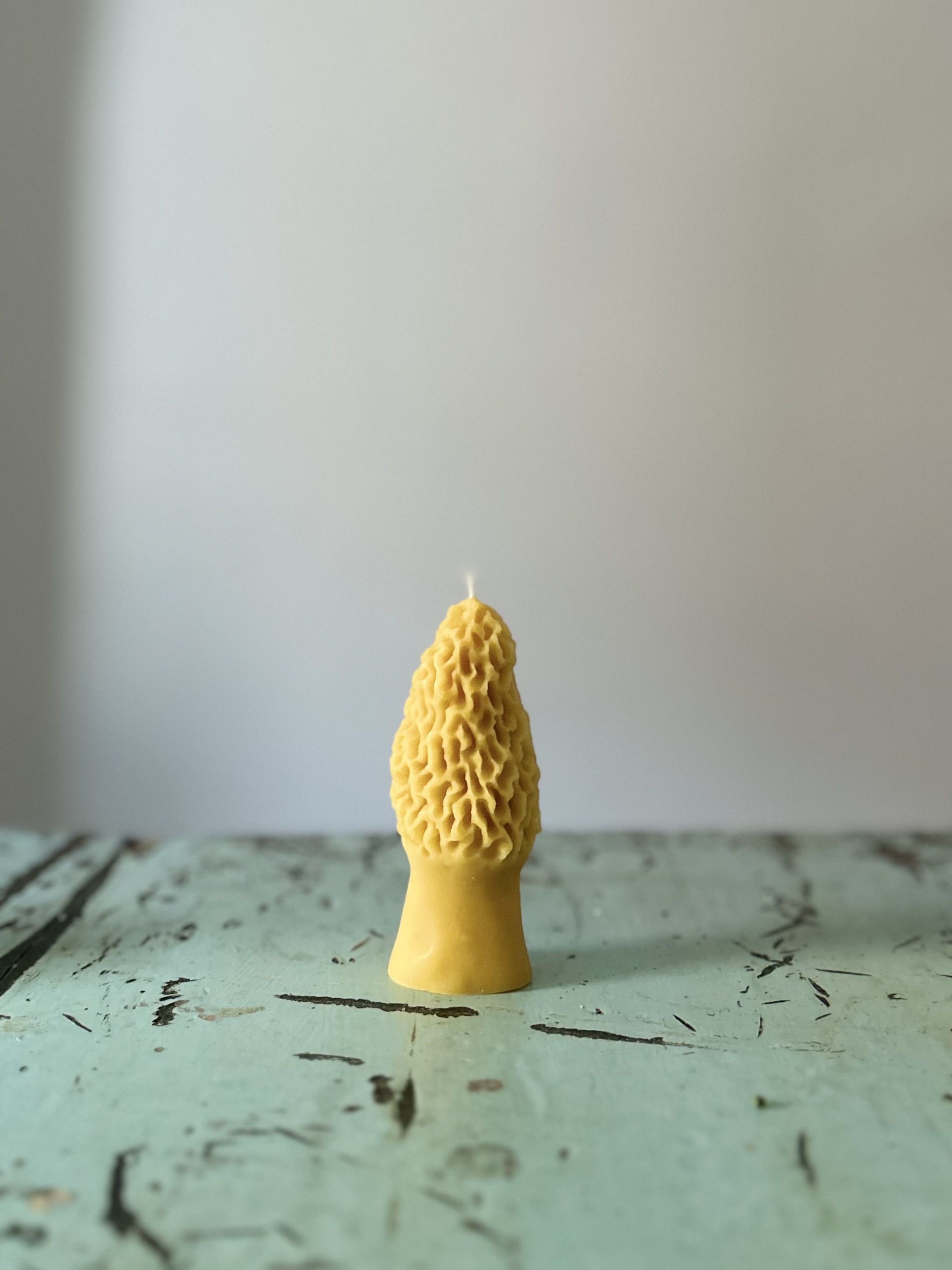 Morel Mushroom Candle 