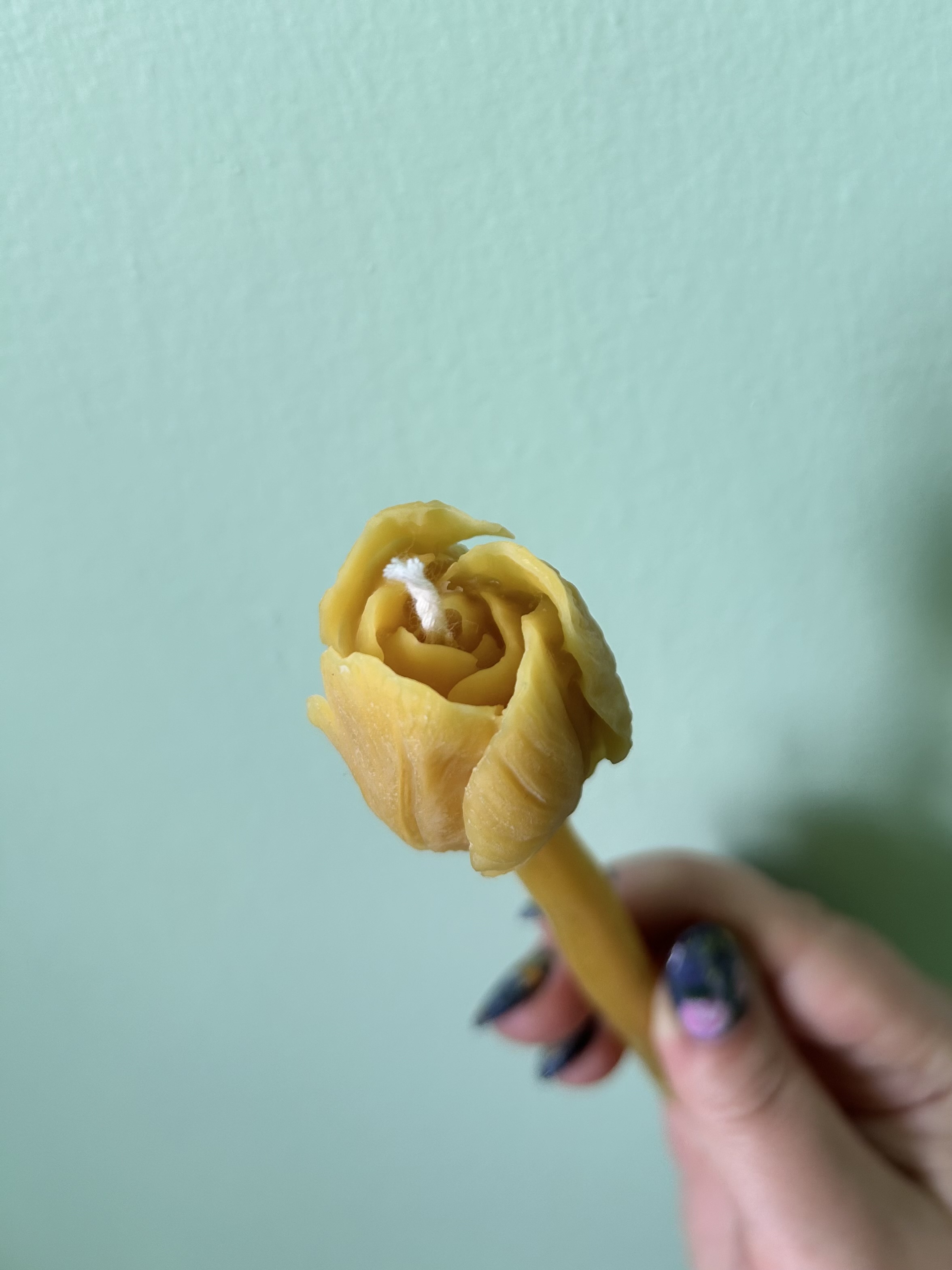Tulip Taper Candles