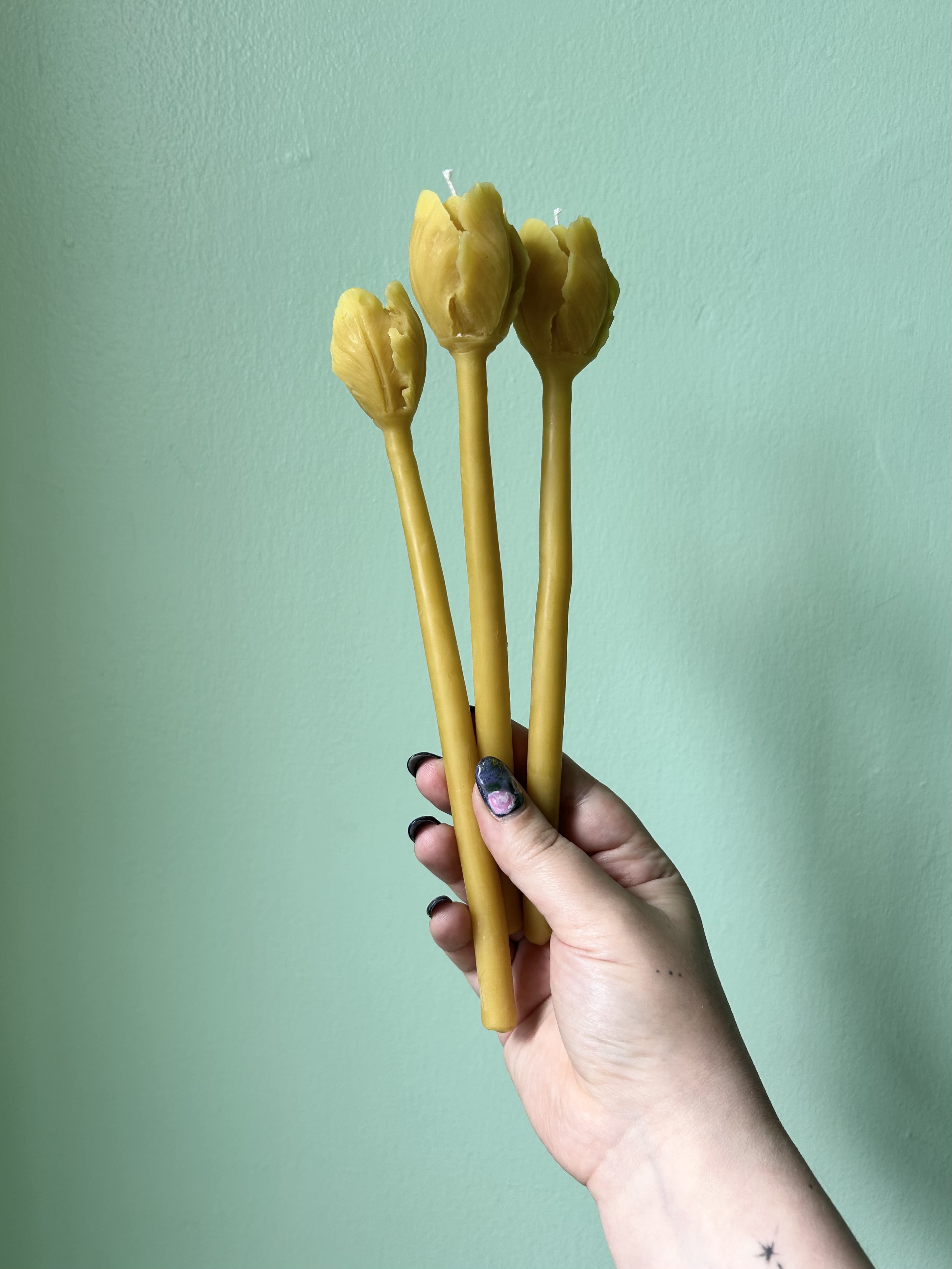 Tulip Taper Candles