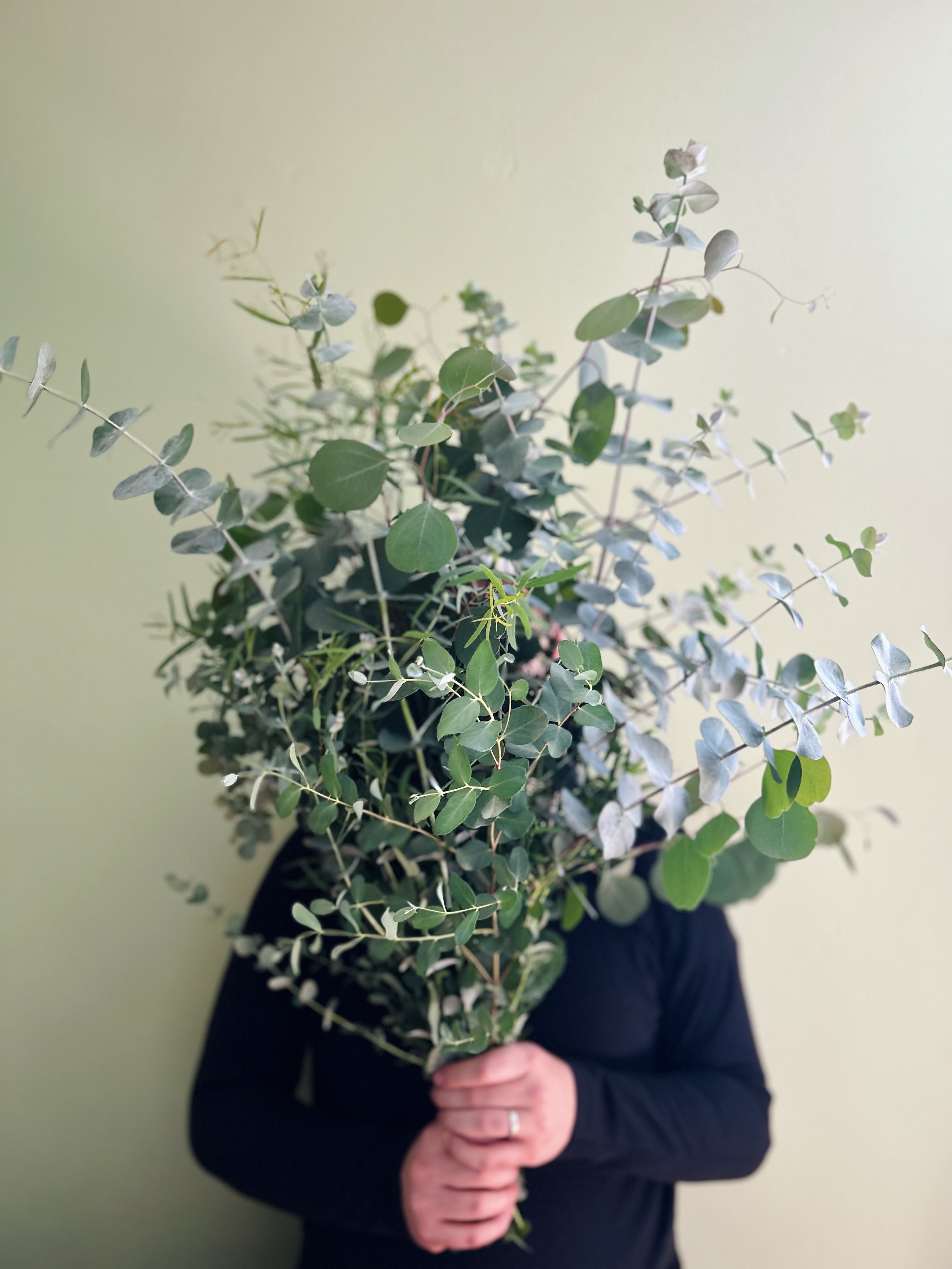 Eucalyptus Bouquet *SPECIFY PICKUP DATE