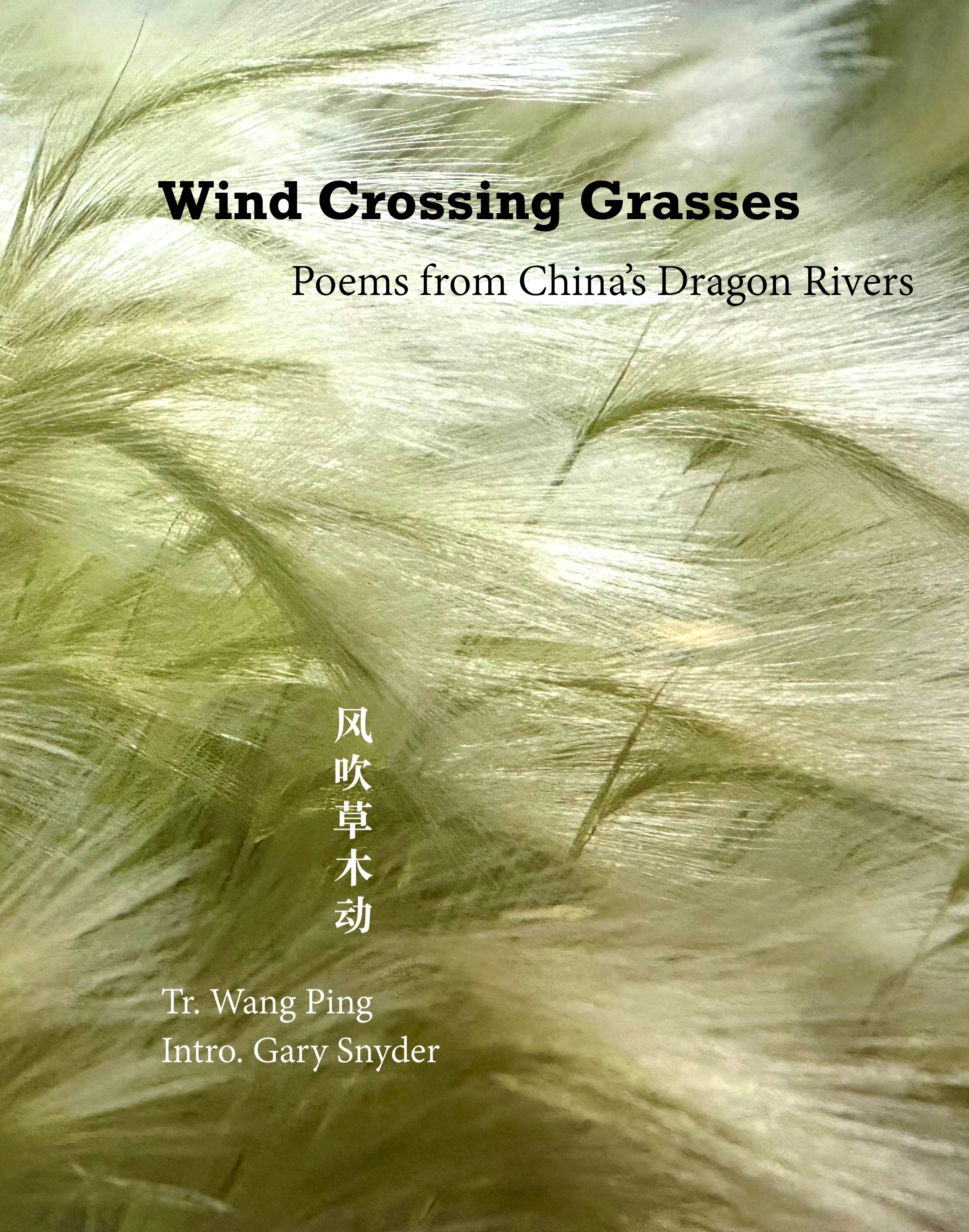 Wind Crossing Grasses
