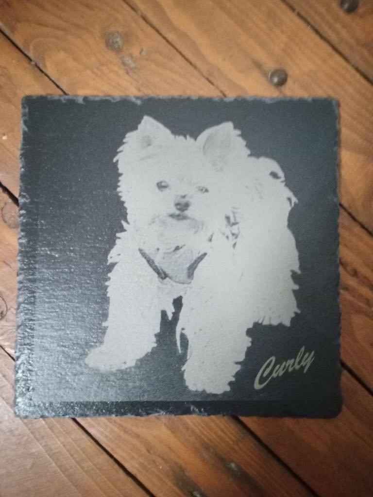 Engraved Slate Pet Portrait