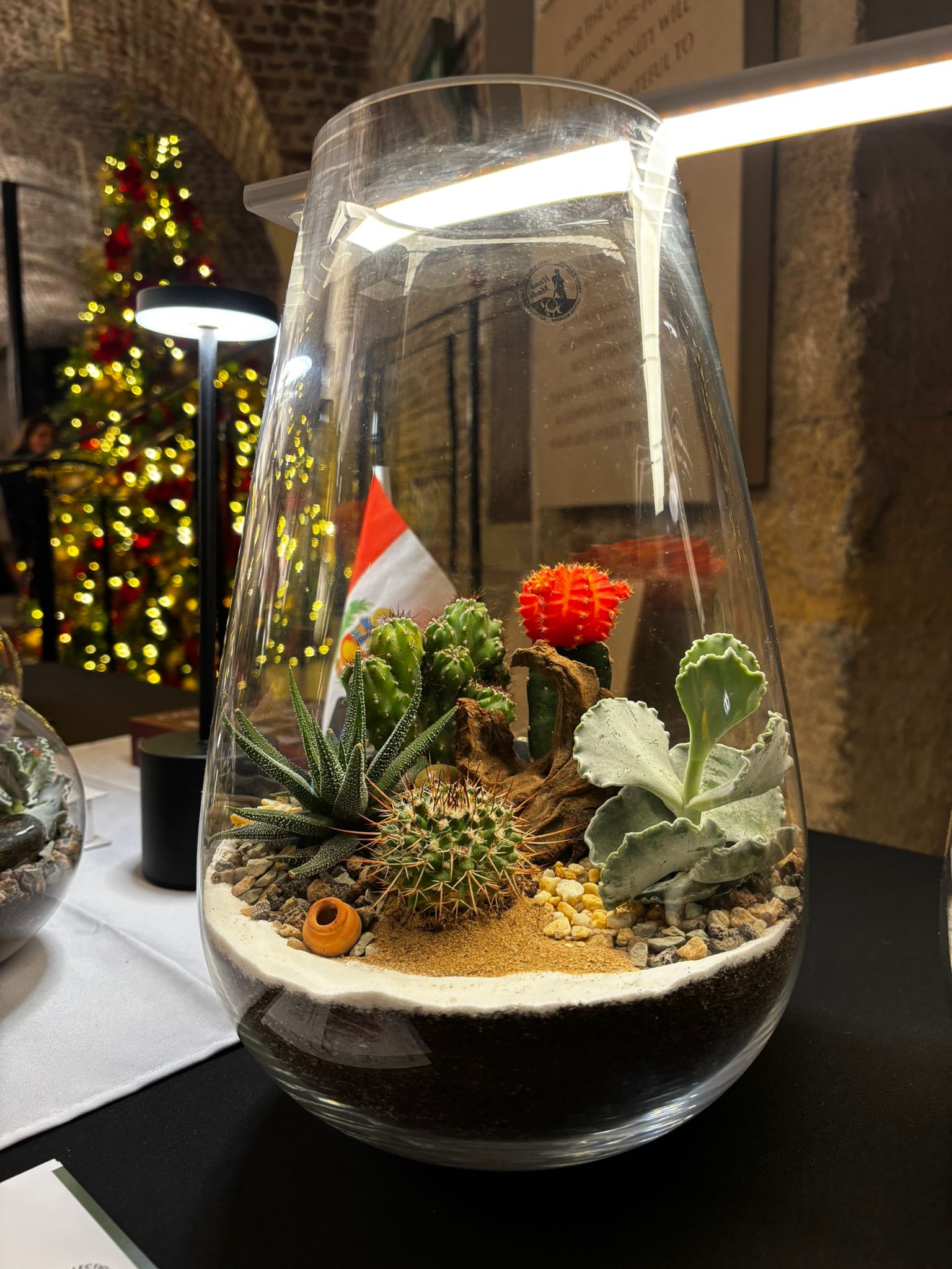 Andean Misti Terarrium