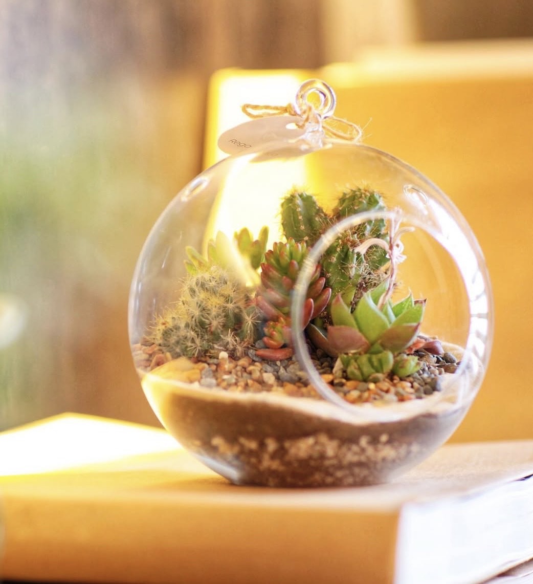 Green Sphere Medium