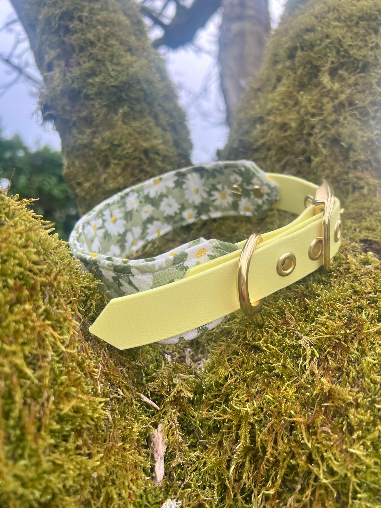 Collier marguerite 
