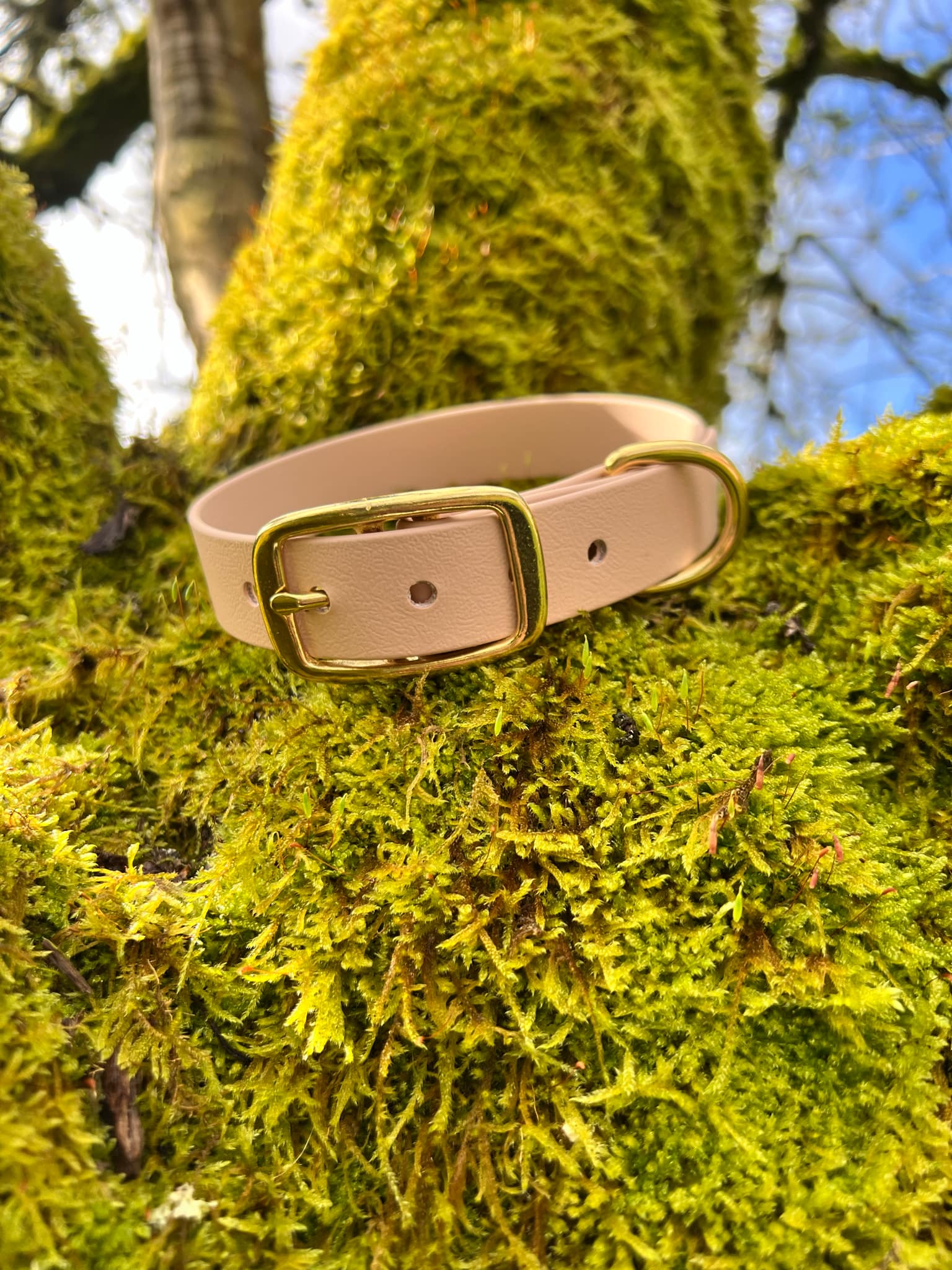 Collier en Biothane Beige