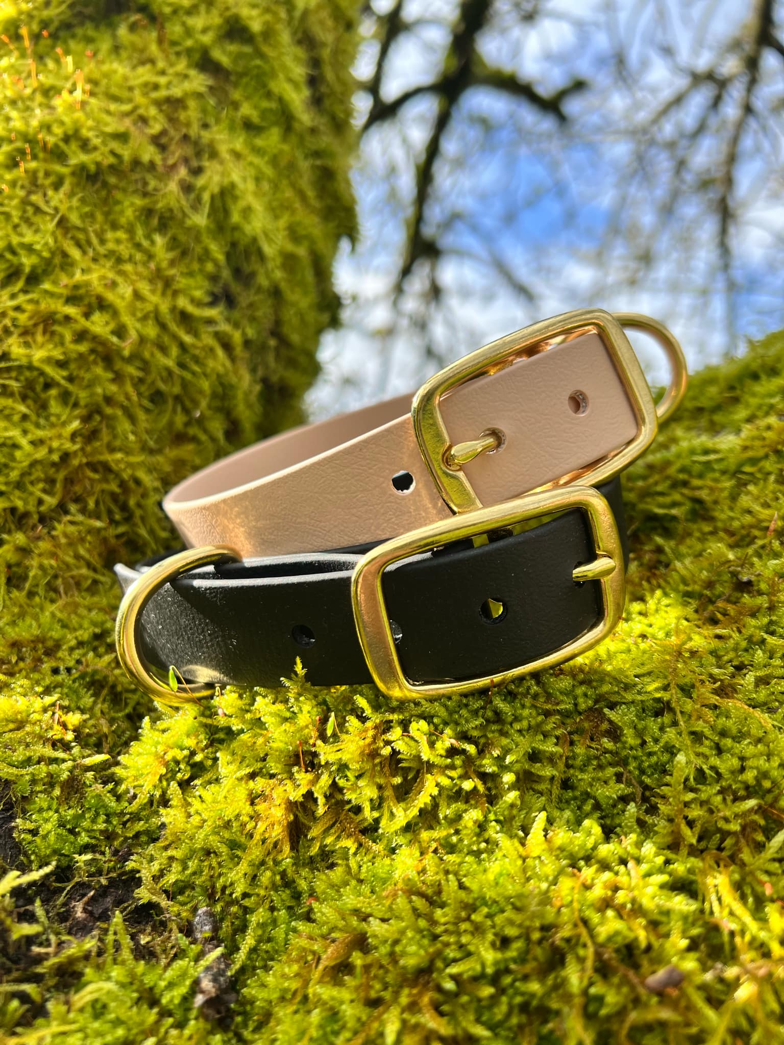 Collier en Biothane Beige