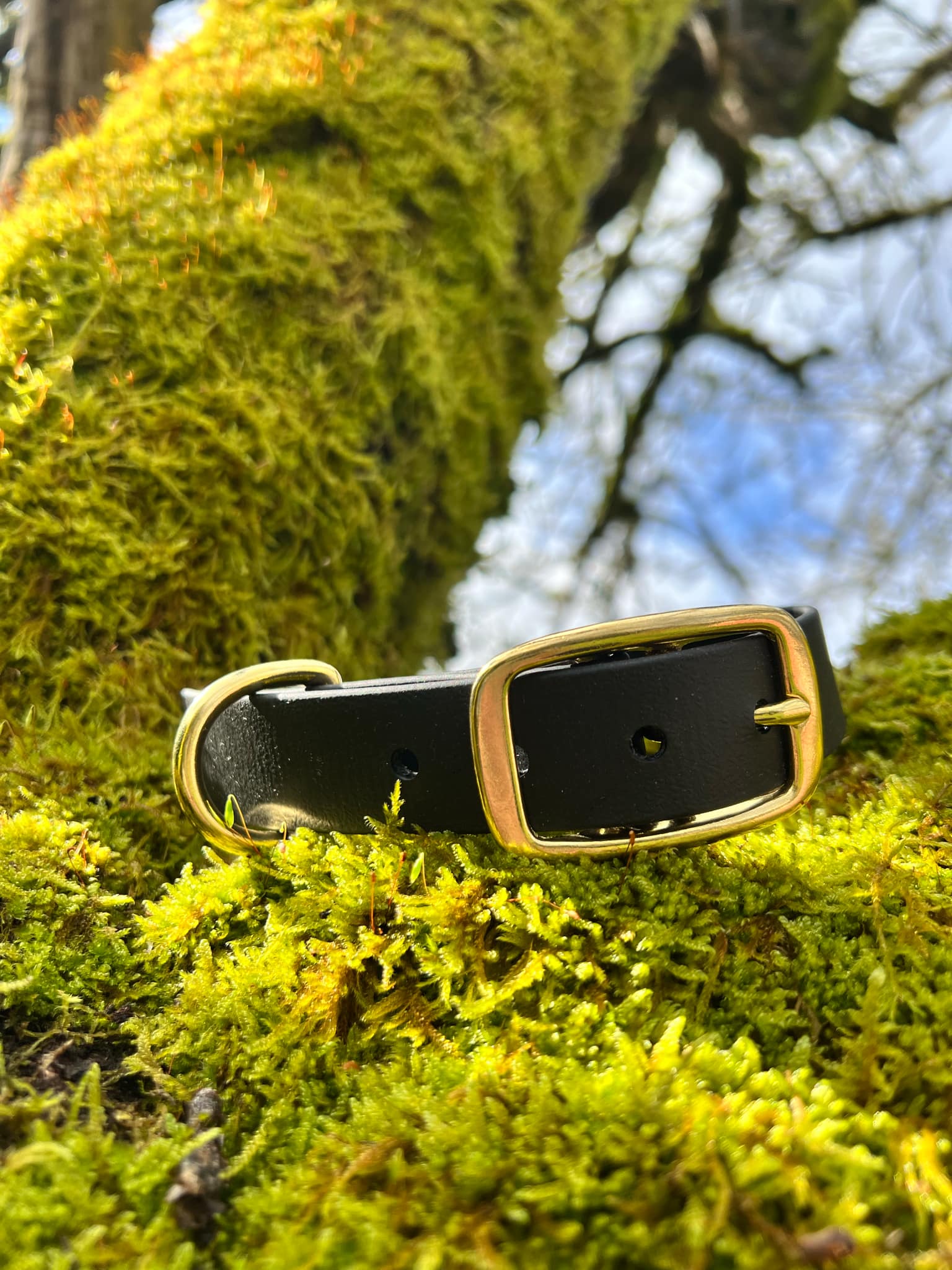 Collier en Biothane