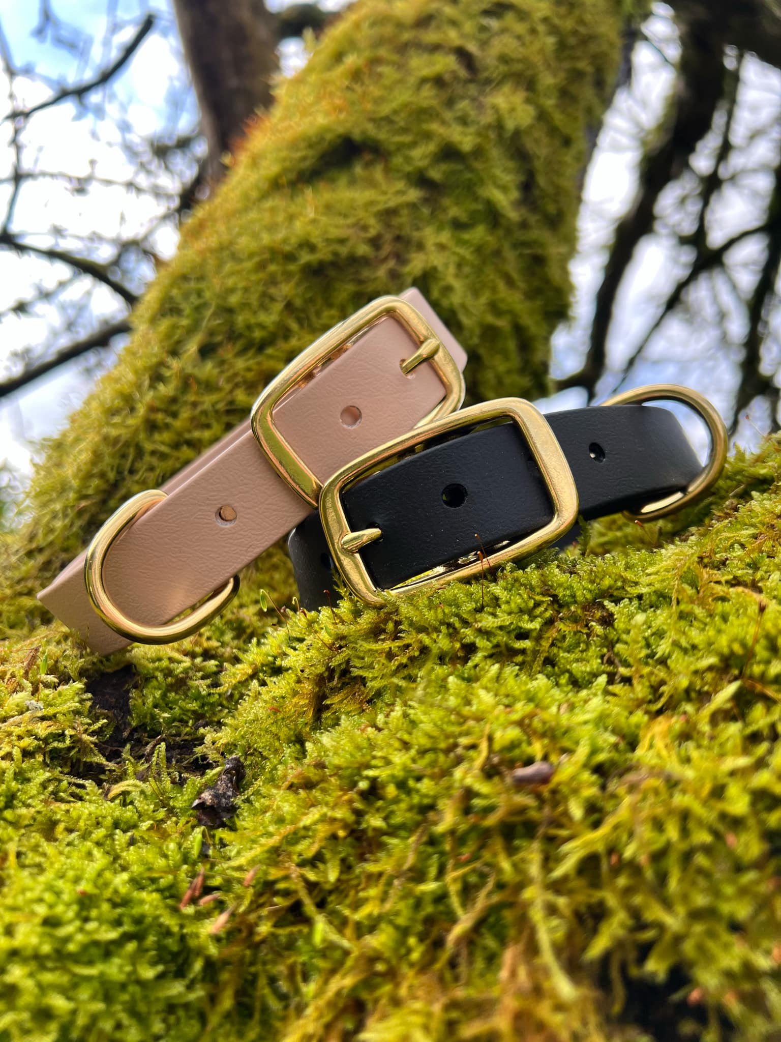 Collier en Biothane