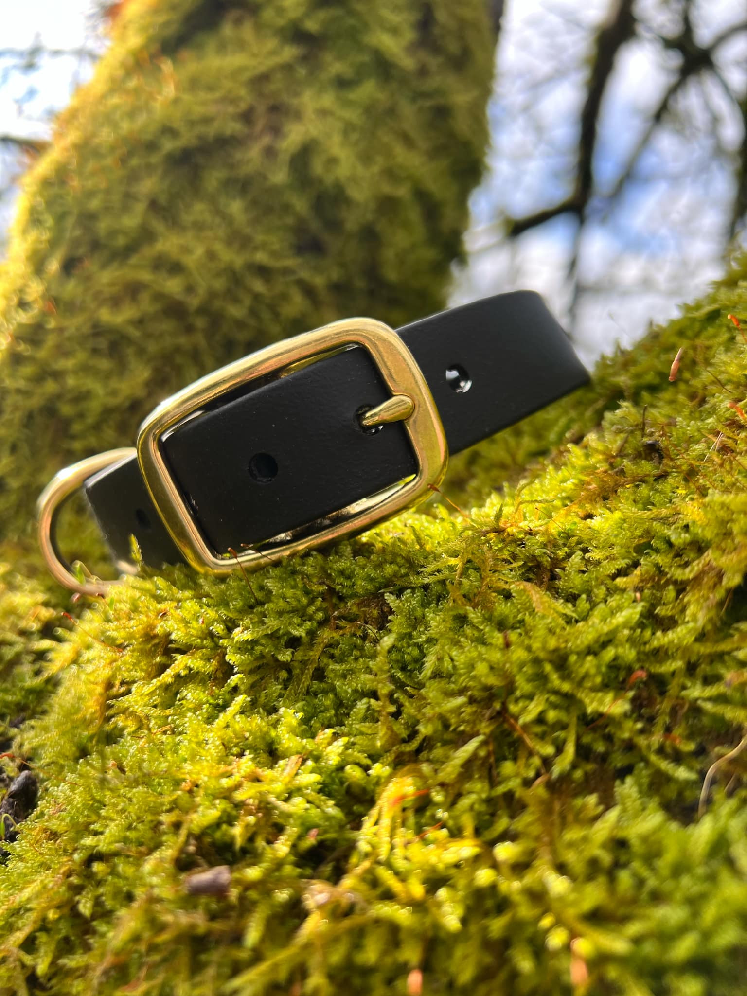 Collier en Biothane