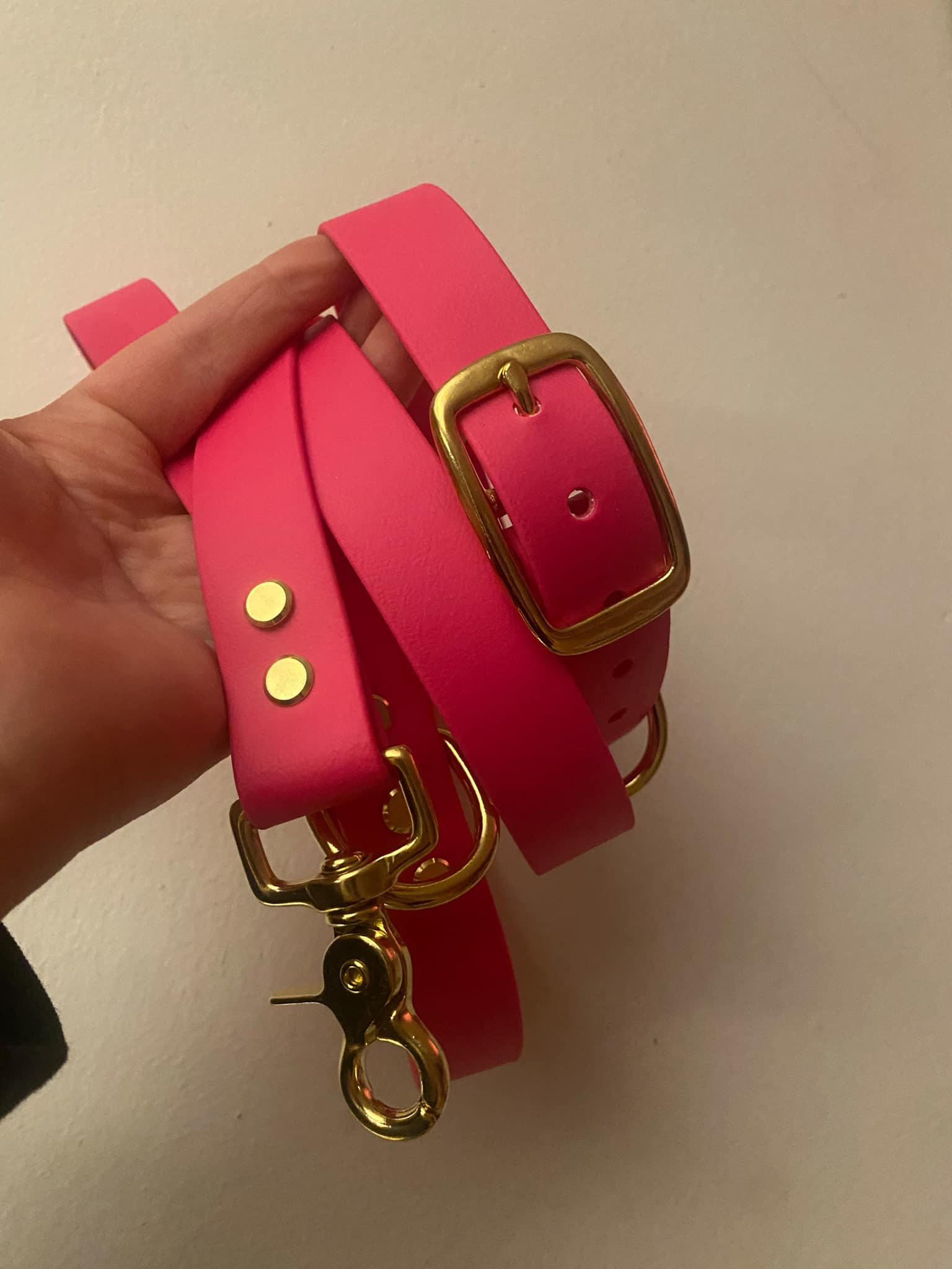 Laisse Biothane Fushia