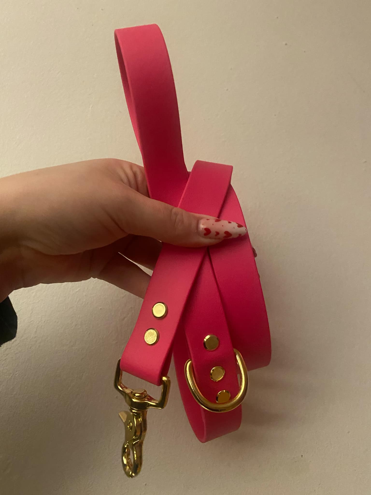 Laisse Biothane Fushia