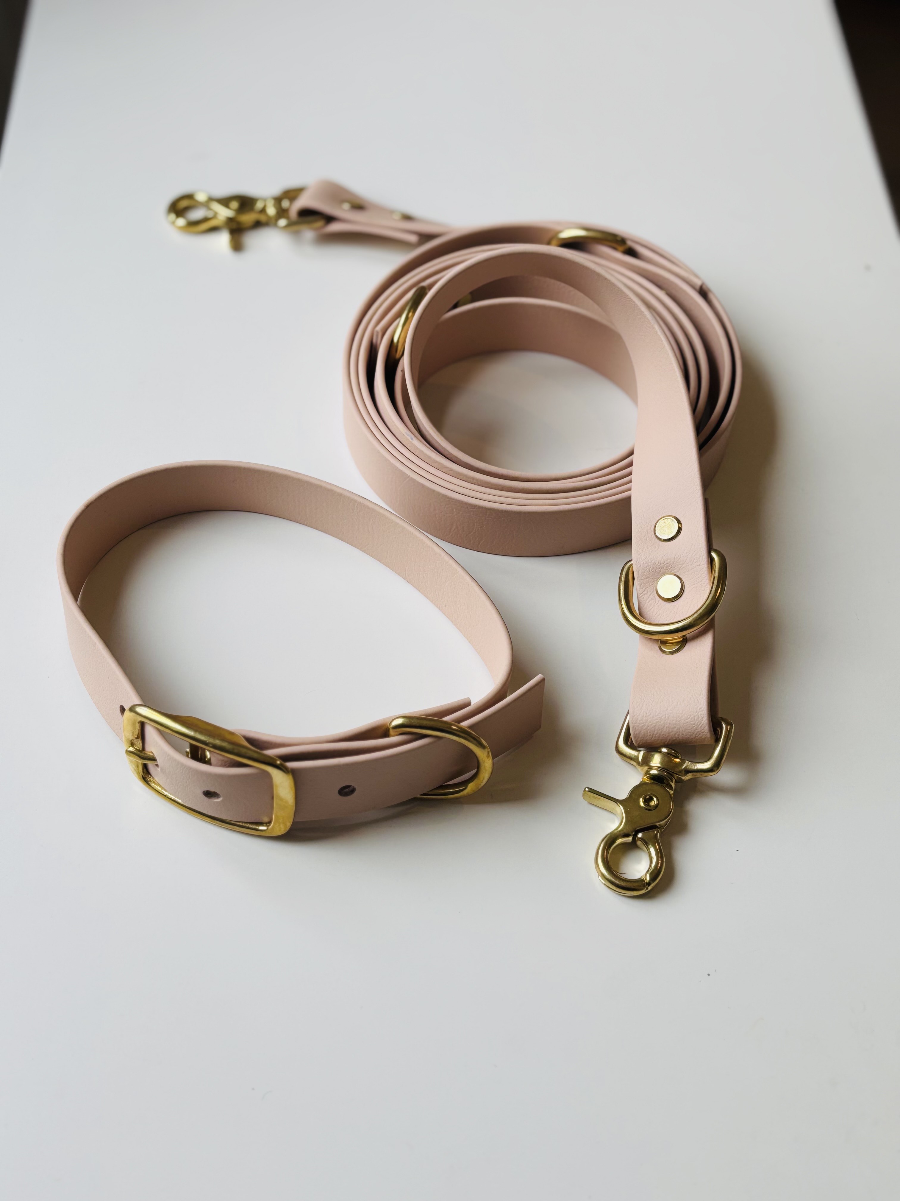 Collier en Biothane Beige