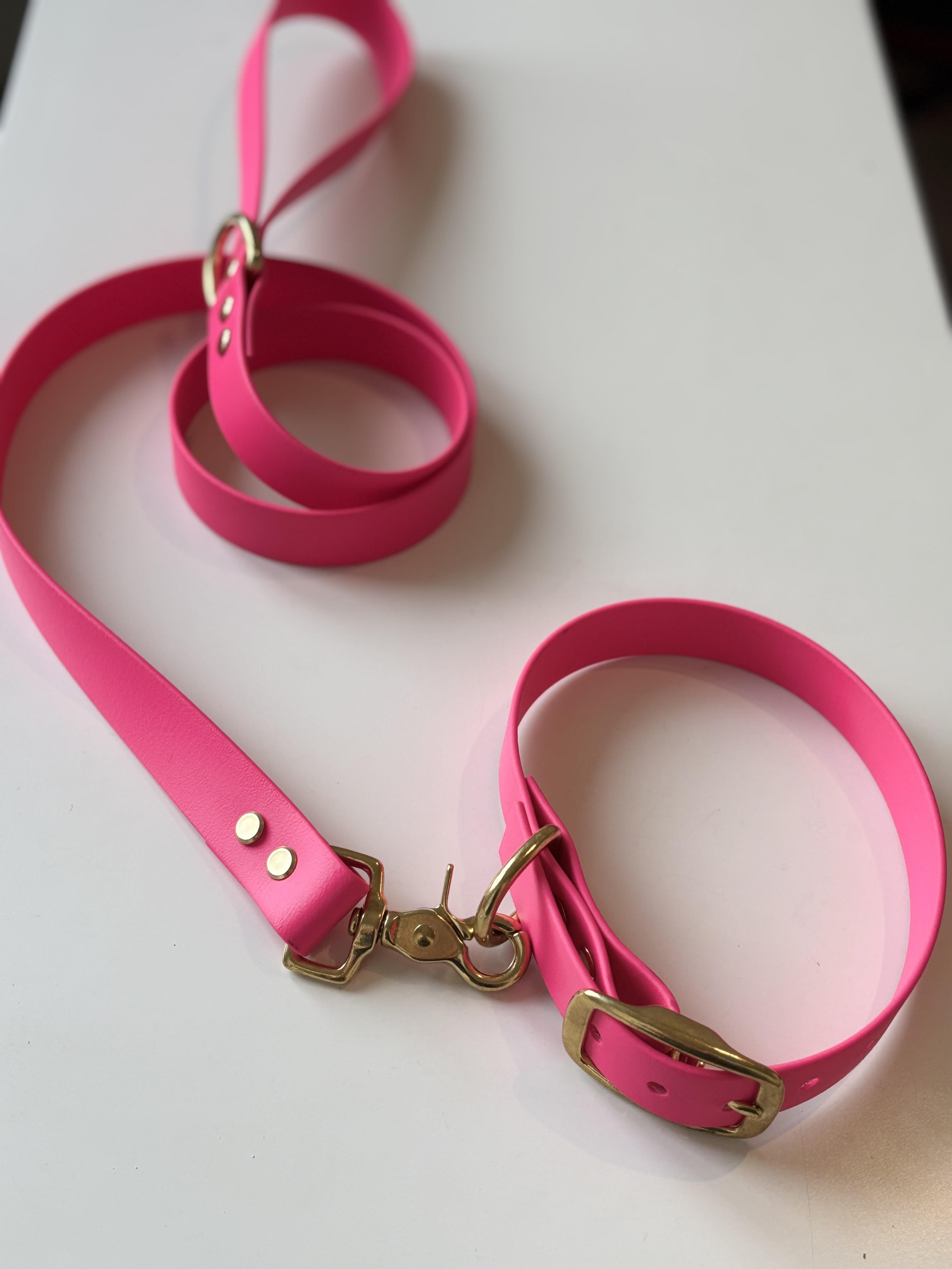 Laisse Biothane Fushia