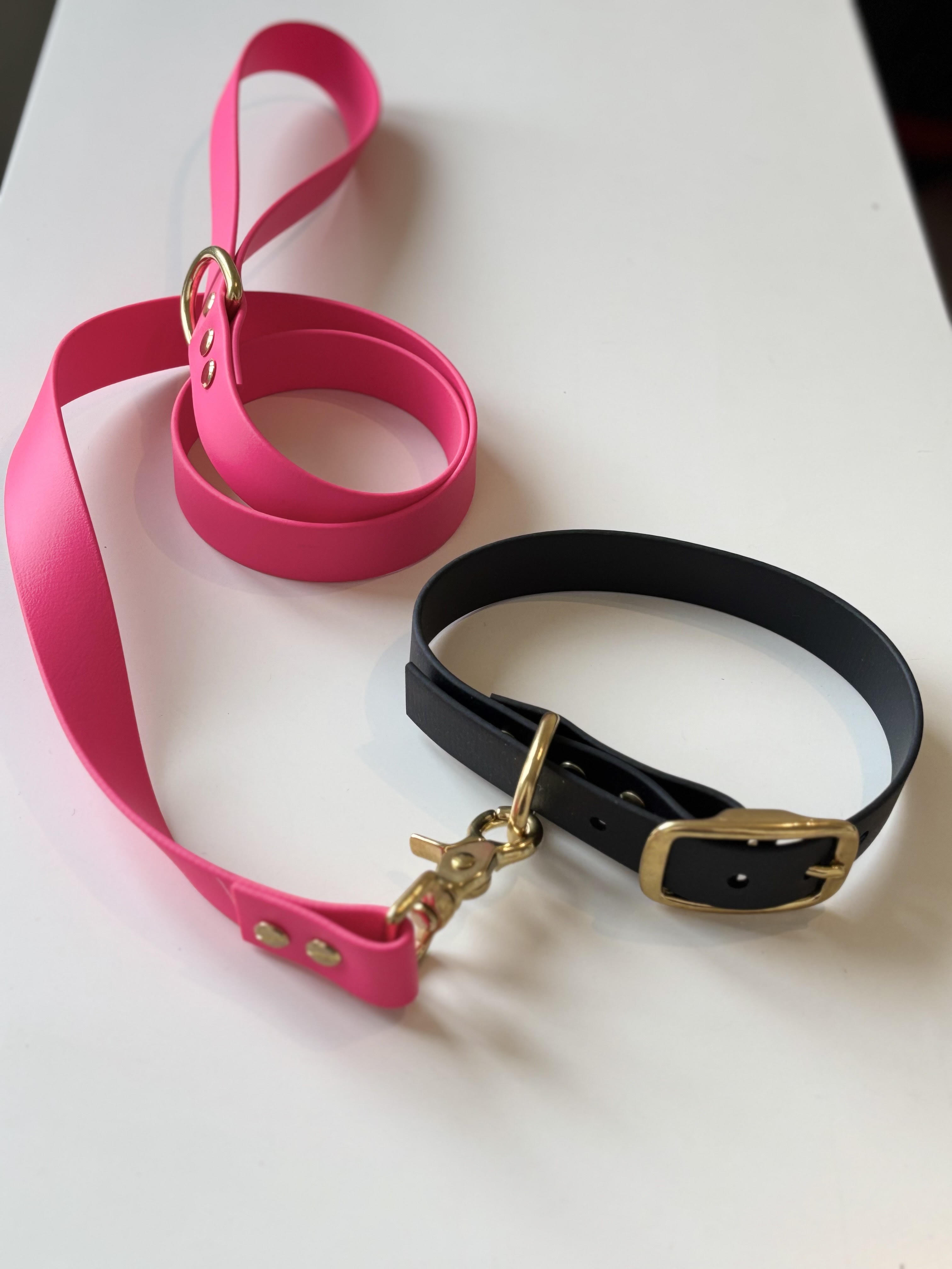 Laisse Biothane Fushia