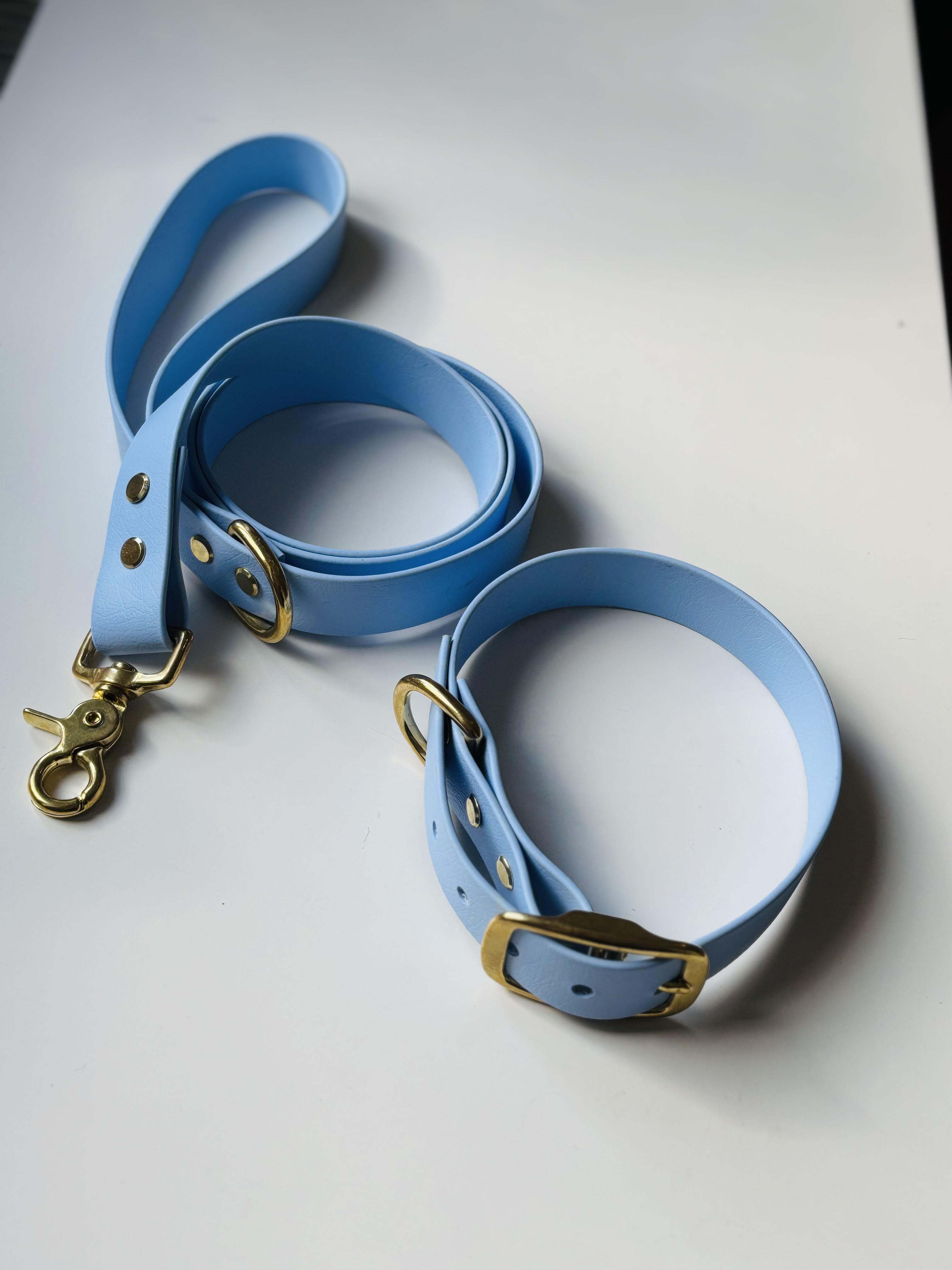 Laisse en Biothane Bleu 