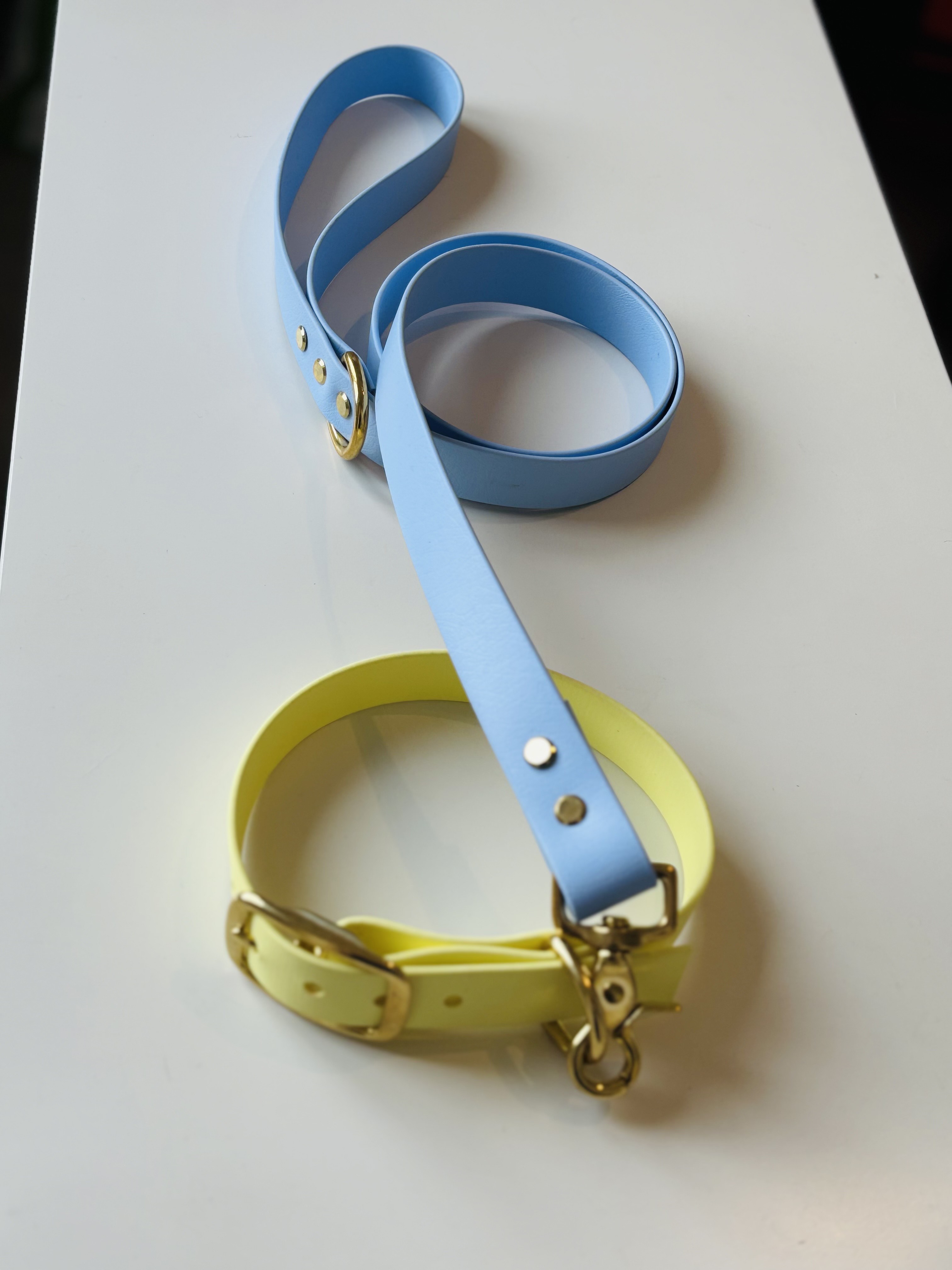 Laisse en Biothane Bleu 