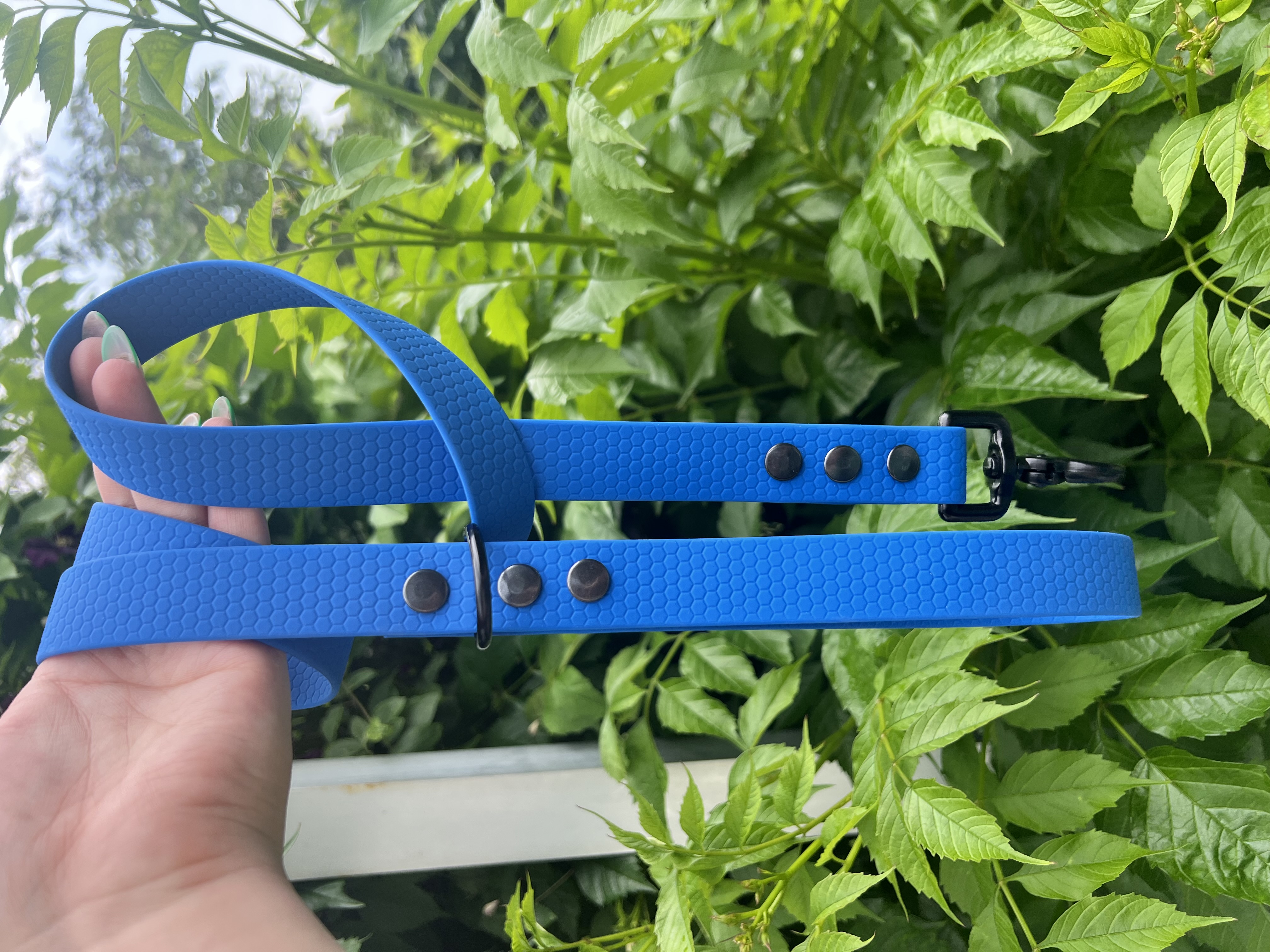 Laisse Hexa Bleu
