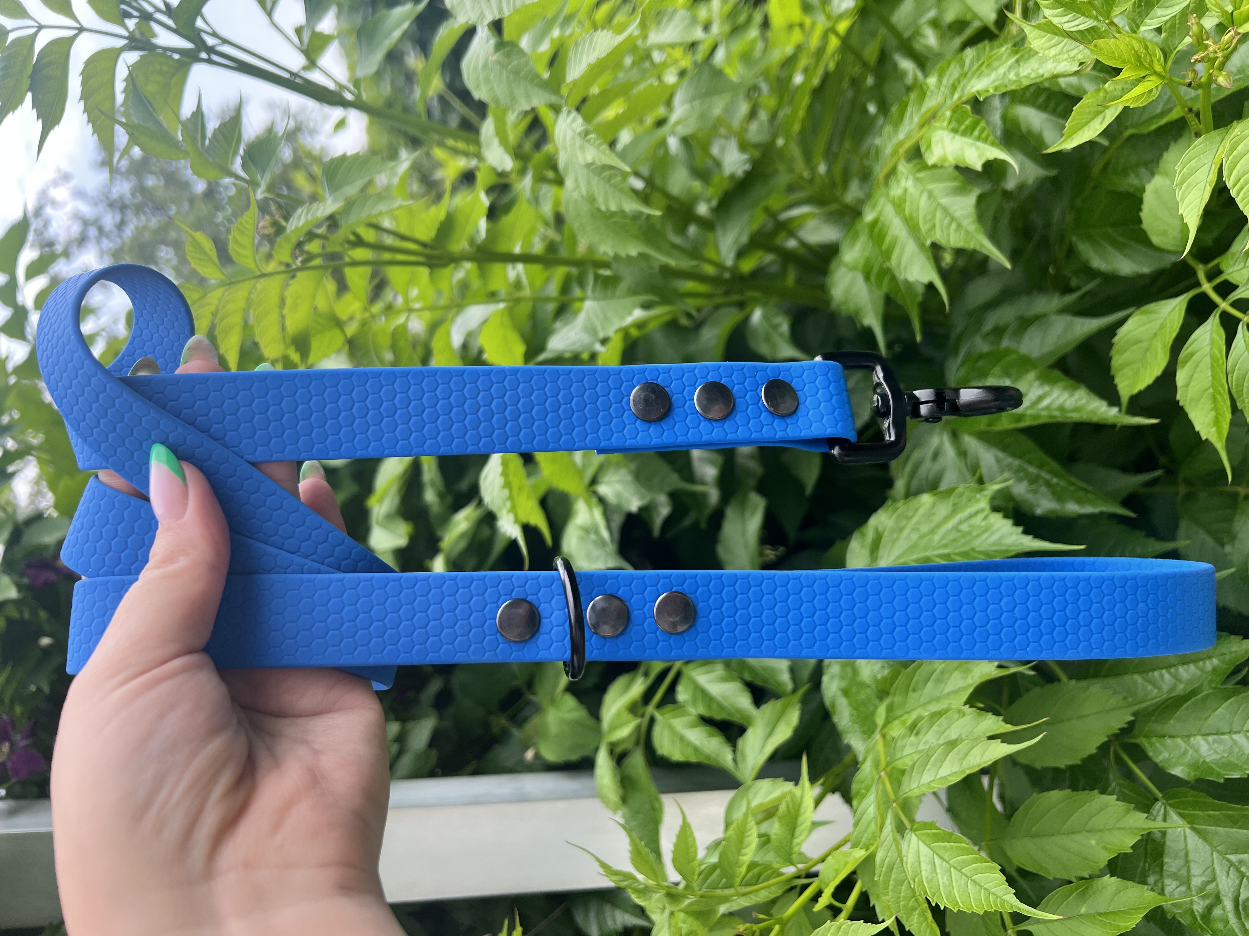 Laisse Hexa Bleu