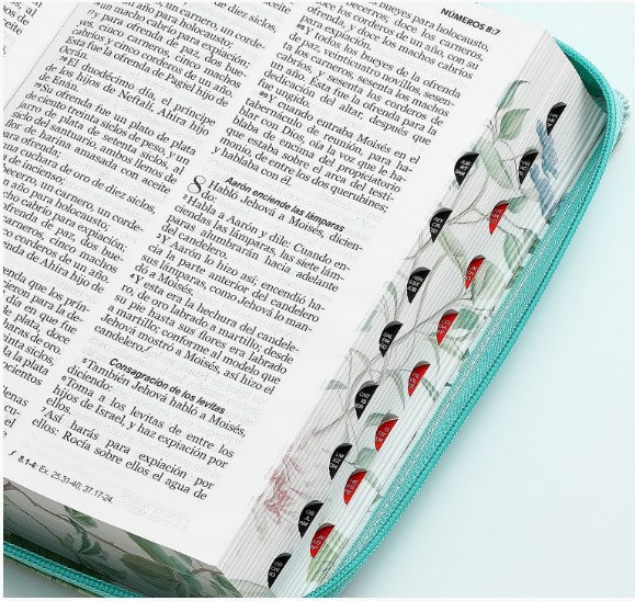Biblia Reina Valera 1960 Pretty Turquesa