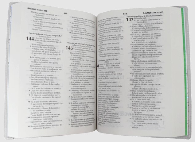 Biblia Para Niños Mig Y Meg Reina Valera 1960