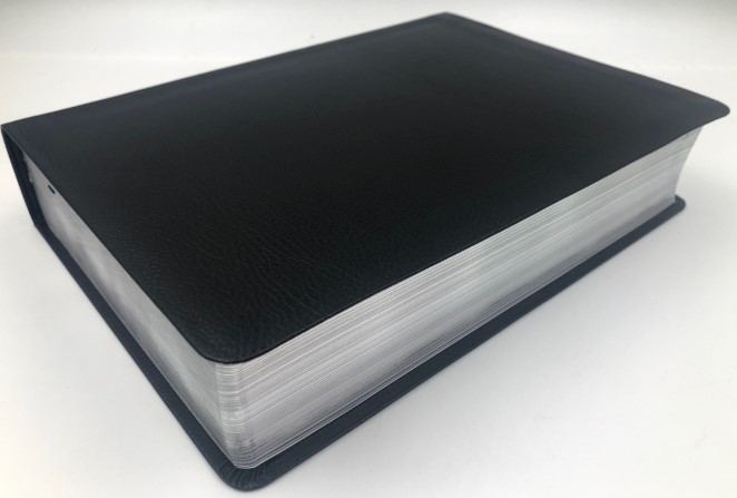 Biblia de Estudio Nueva Traducción viviente Diario Vivir Negro