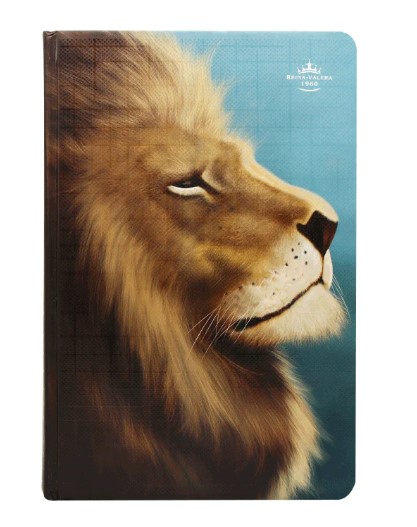 BIBLIA REINA VALERA 1960 TAPA DURA LETRA GRANDE