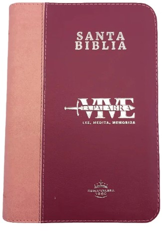 Biblia Reina Valera 1960 letra grande con cierre Rosa dos tonos canto plateado