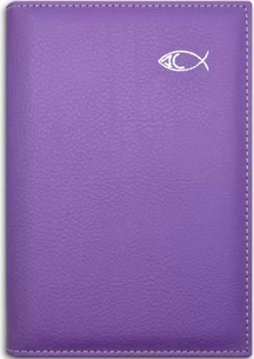 AGENDAS ACOLCHADAS 2025