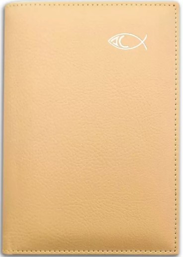 AGENDAS ACOLCHADAS 2025