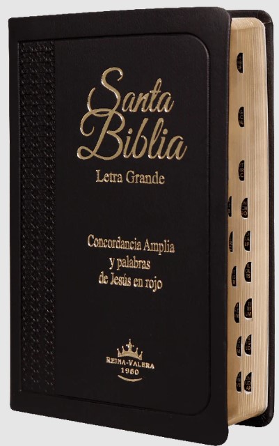 Biblia Reina Valera 1960 Para Hombre Letra Grande Negra