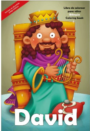 David - Libro Gigante