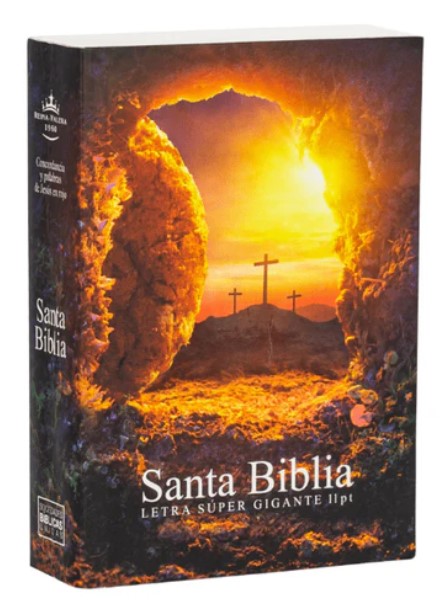 Biblia Reina Valera 1960 Letra Grande 11 puntos Concordancia Piedra Tapa Dura