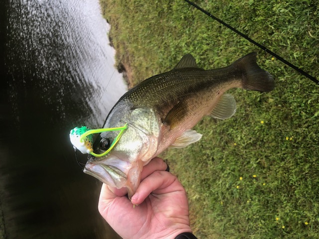 Father and Kid Fishing workshop