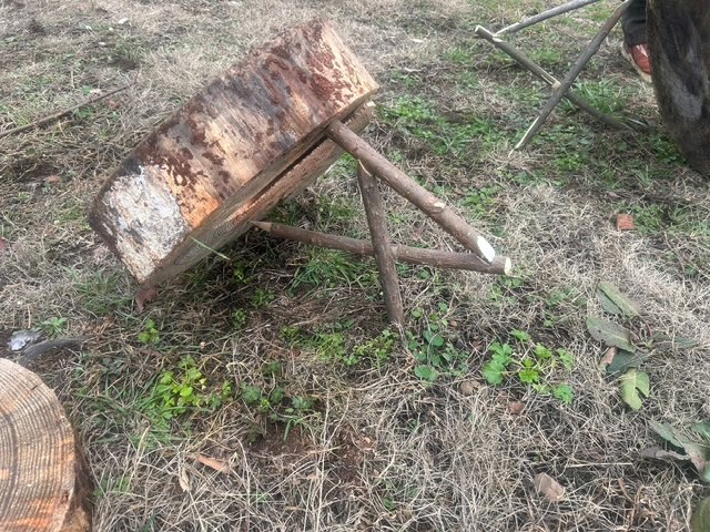Primitive Trapping Workshop