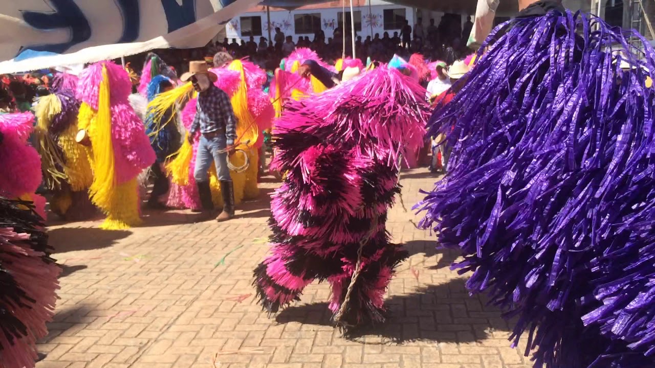 Tenango de Doria carnival