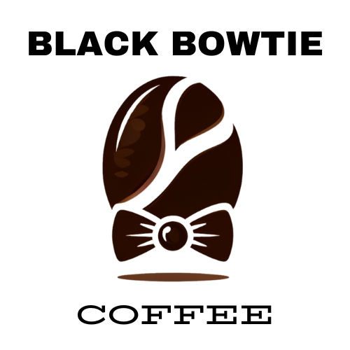 Logo and Branding Package